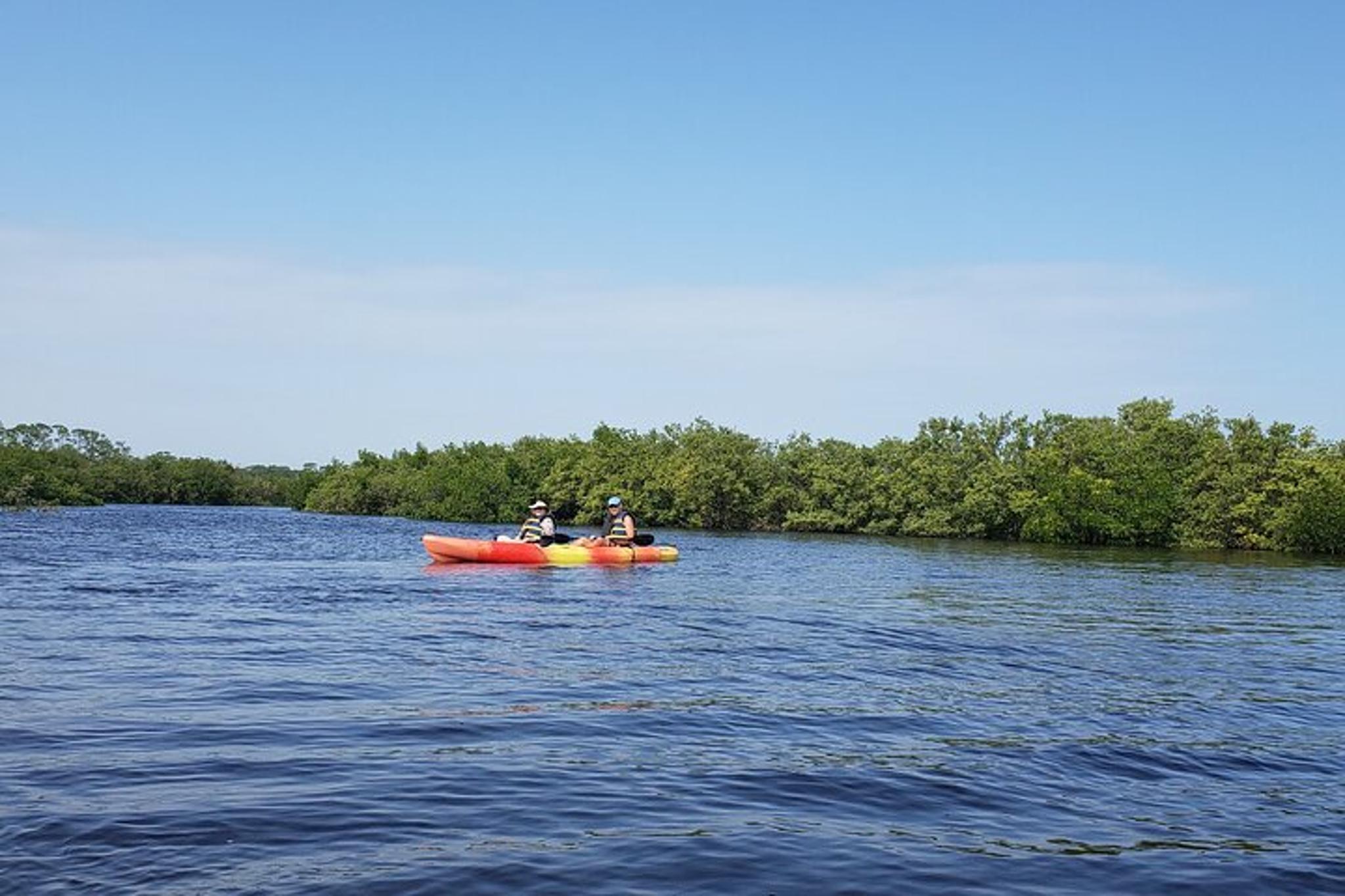 New Smyrna Beach Kayaking Ecotour - Image 4