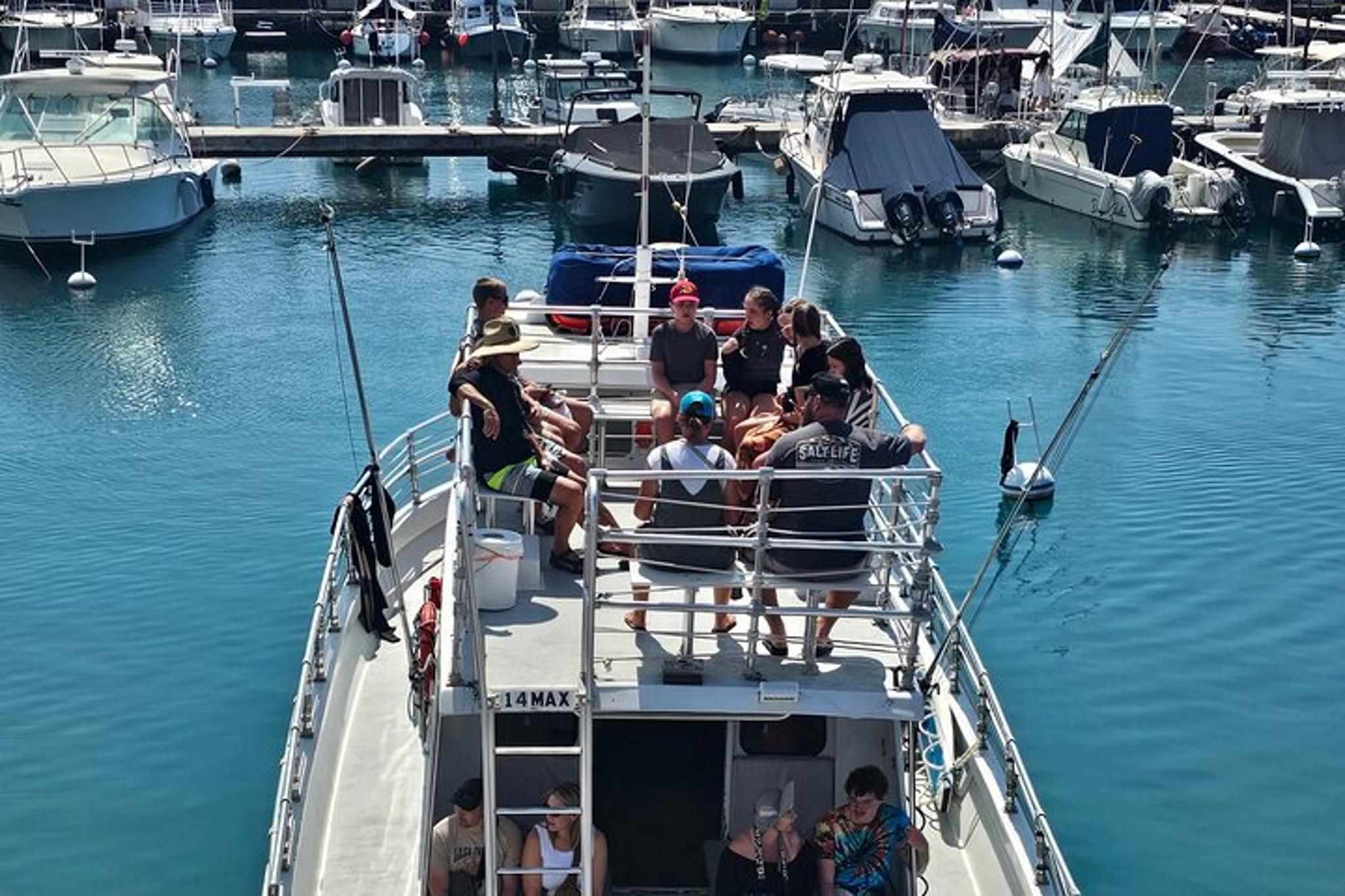 Kona Whale Watching Tour 2.5 Hr - Image 4
