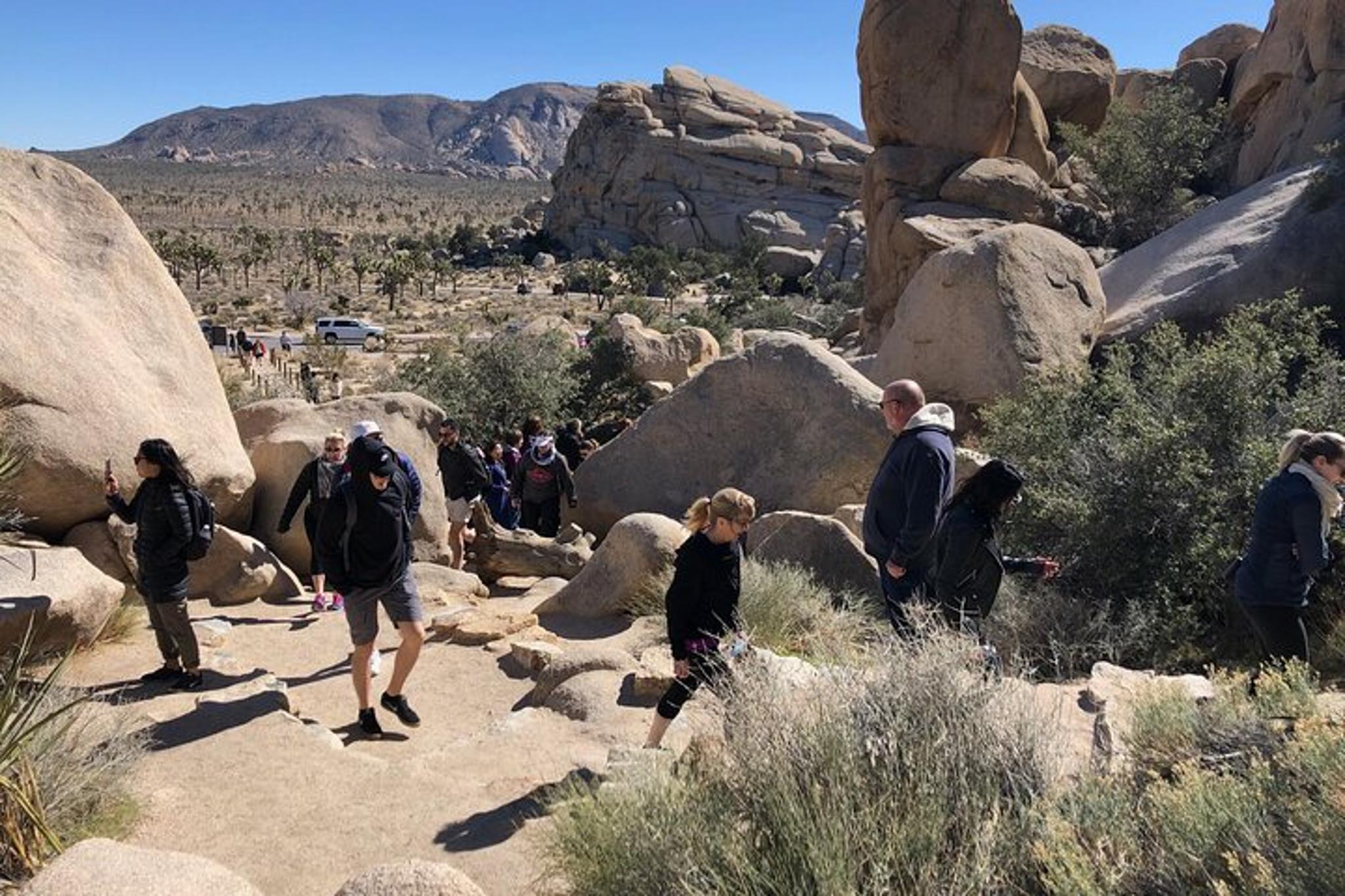 Joshua Tree National Park Driving Tour - Image 4