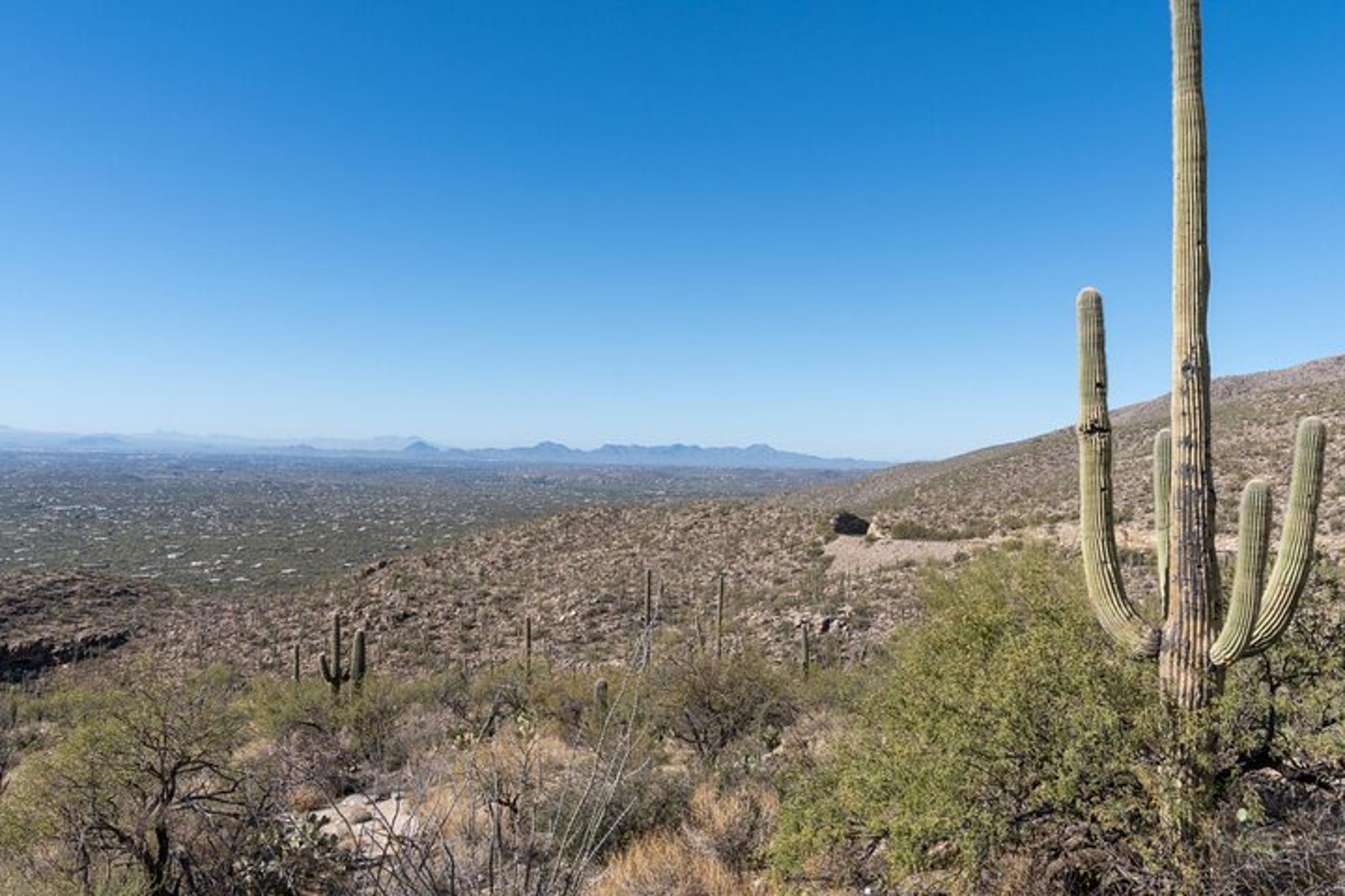 Tucson Mount Lemmon Self-Guided Audio Driving Tour - Image 4