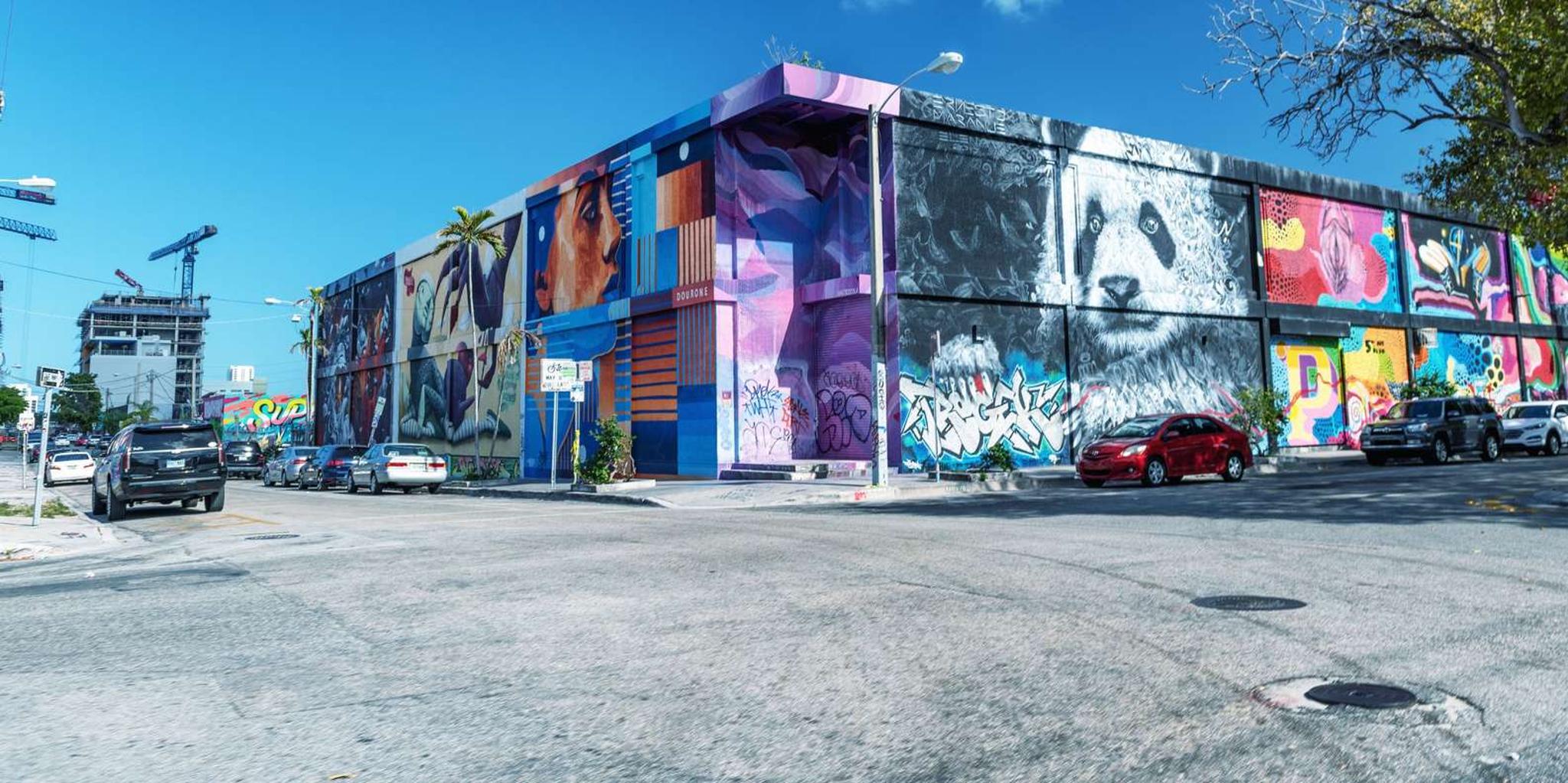 Miami Street Art Private Walking Tour - Image 3