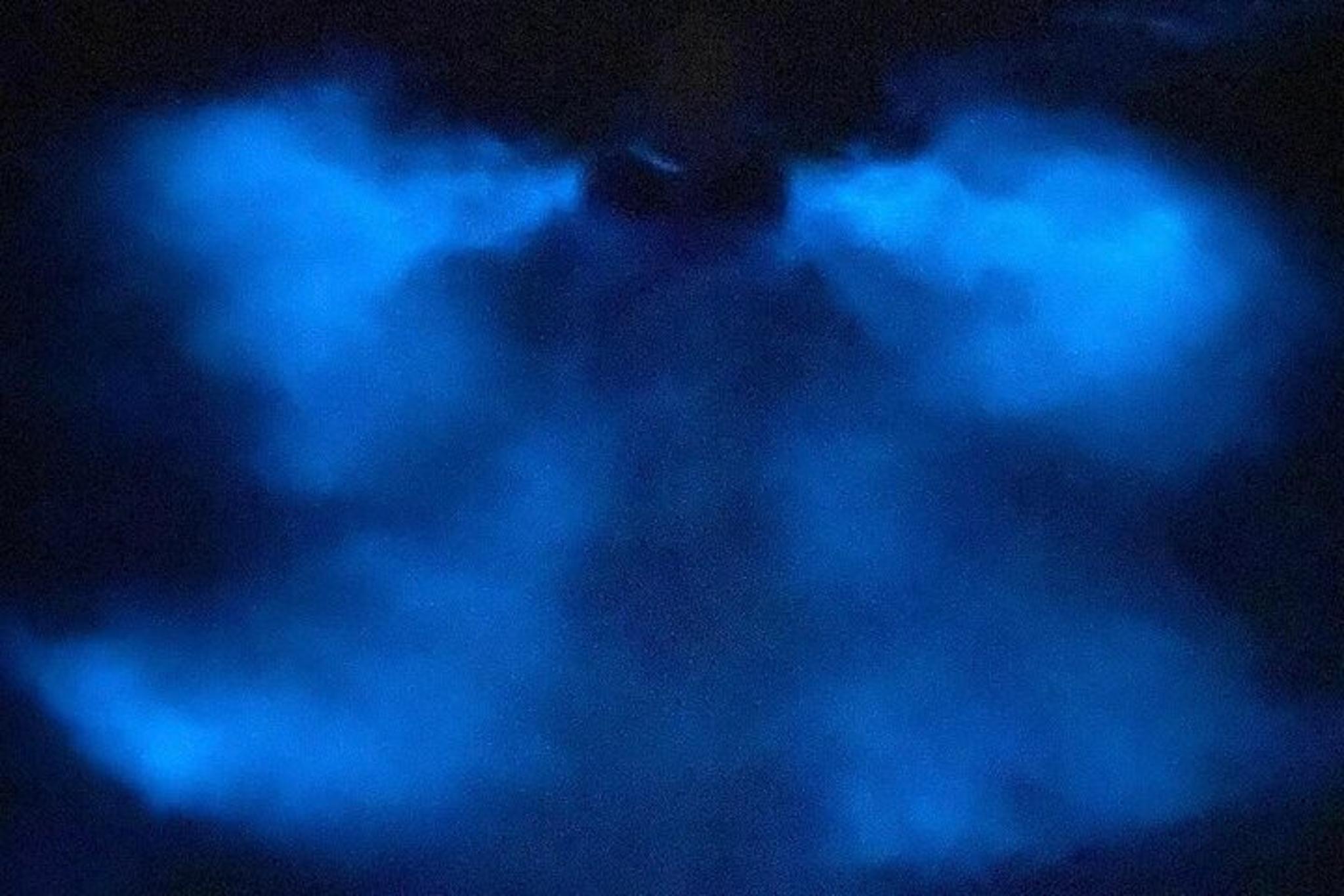 Orlando Bioluminescence Kayak Tour - Image 3