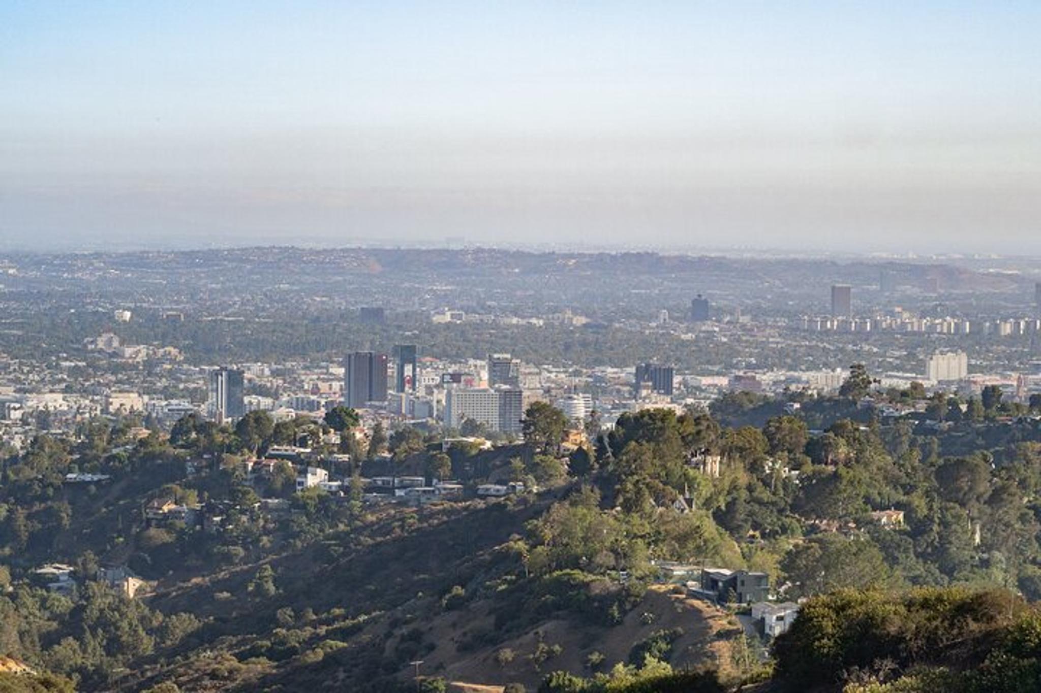 Los Angeles Hollywood Sign Hike - Image 6