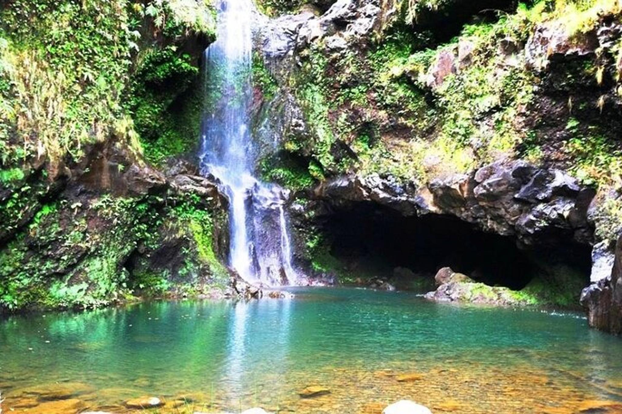 Kahului Jungle Tour with Private Guide - Image 4