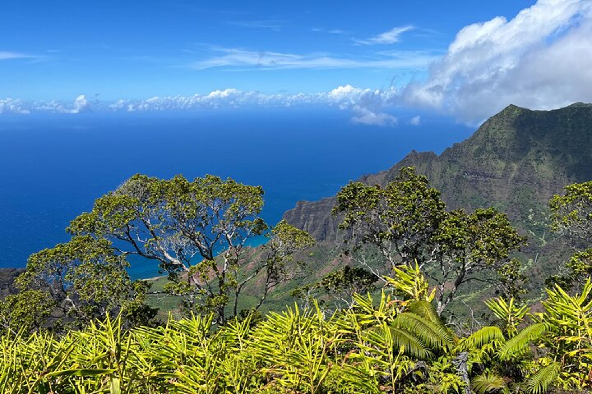 Kauai Island Private Guided Tour from Poipu - Image 6