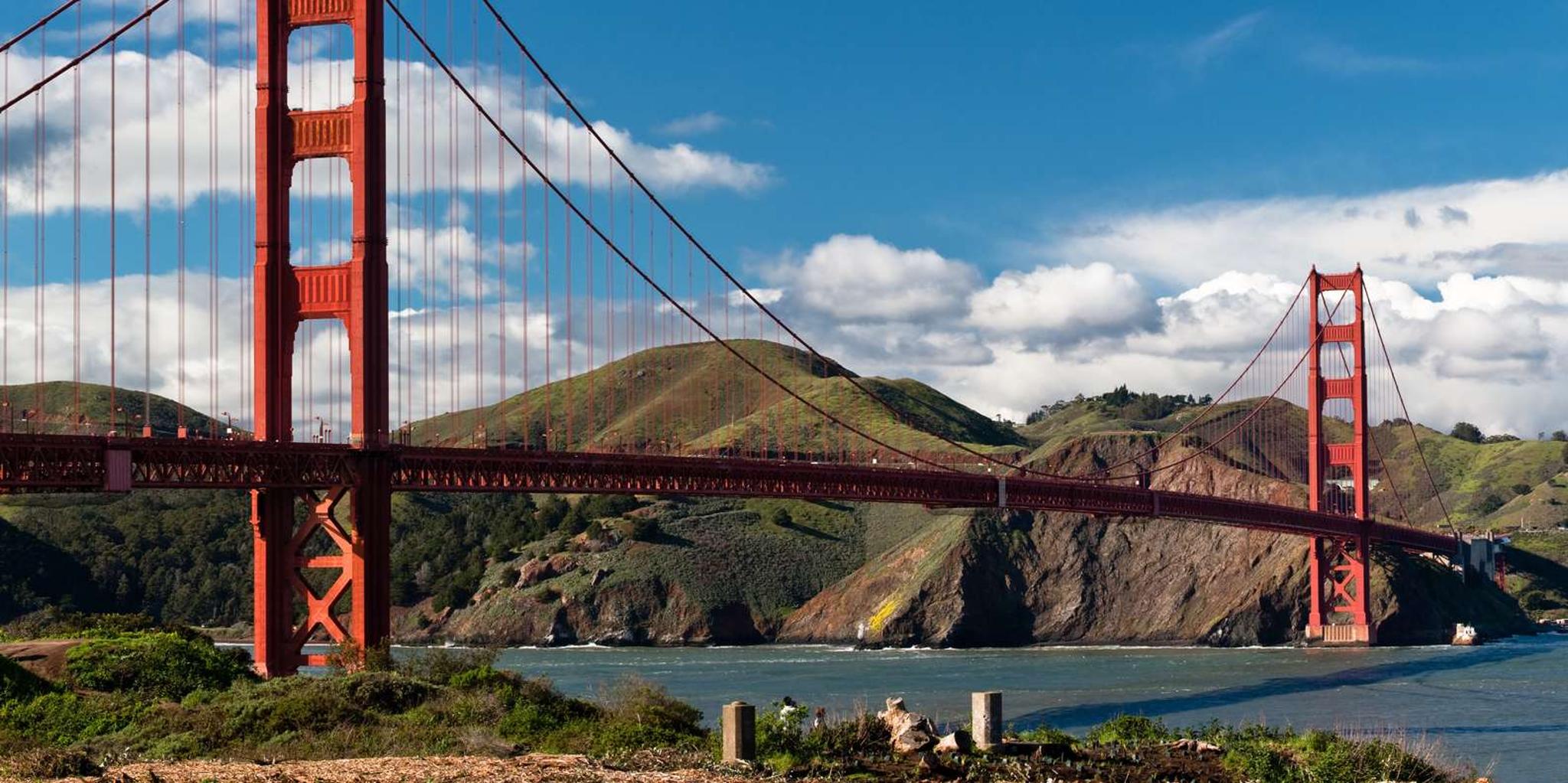 San Francisco City Tour with Muir Woods and Sausalito - Image 2