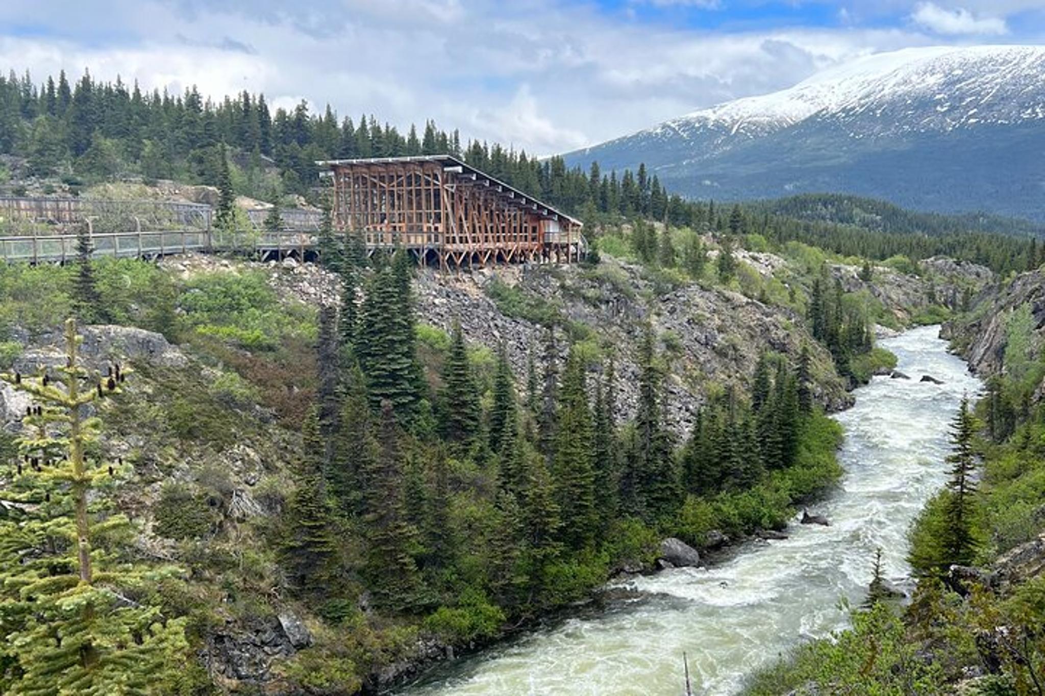 Skagway Yukon Suspension Bridge Tour - Image 5