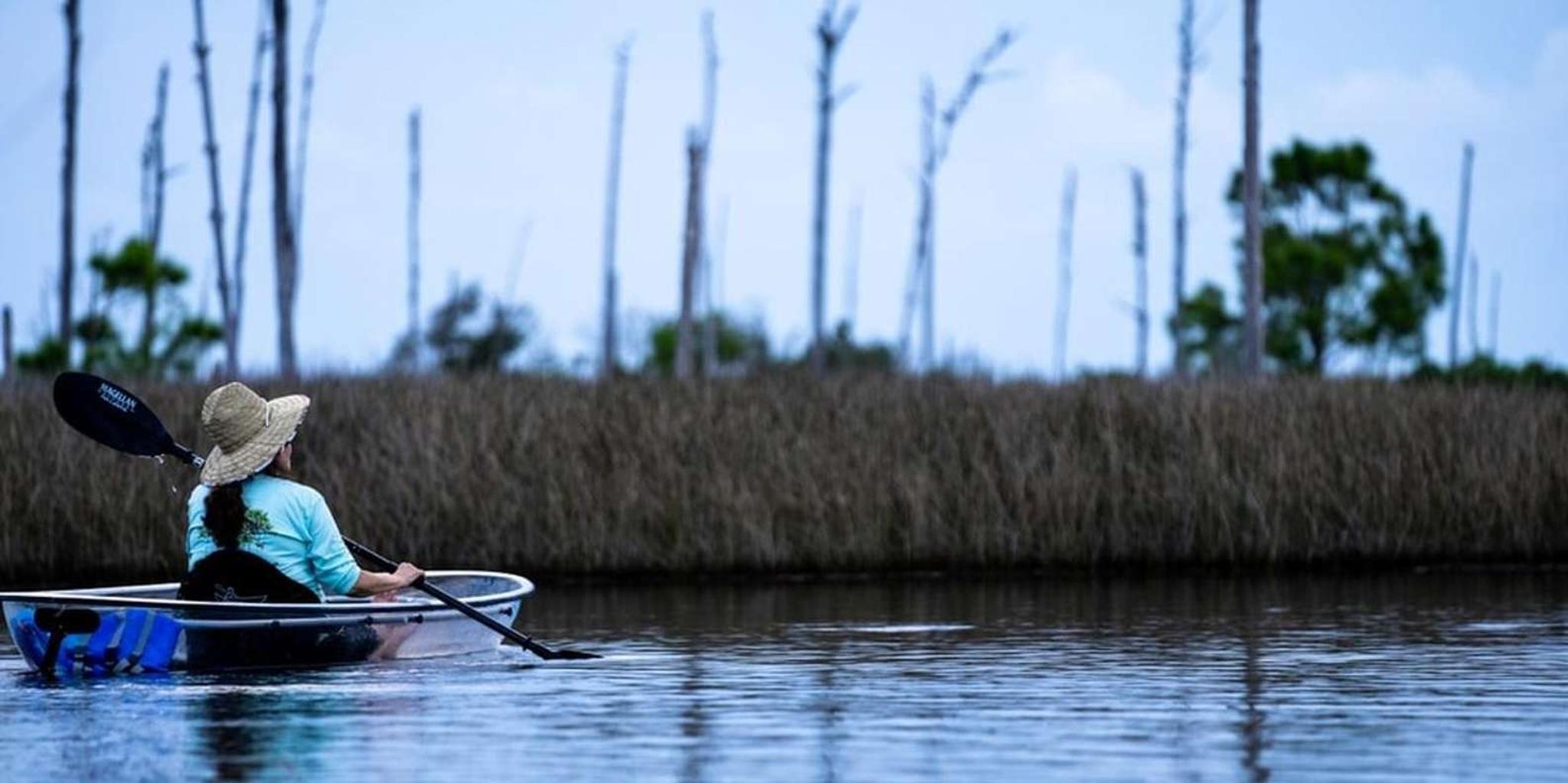 Destin Clear Kayak Eco Tour with Island Stops 2 hr - Image 2