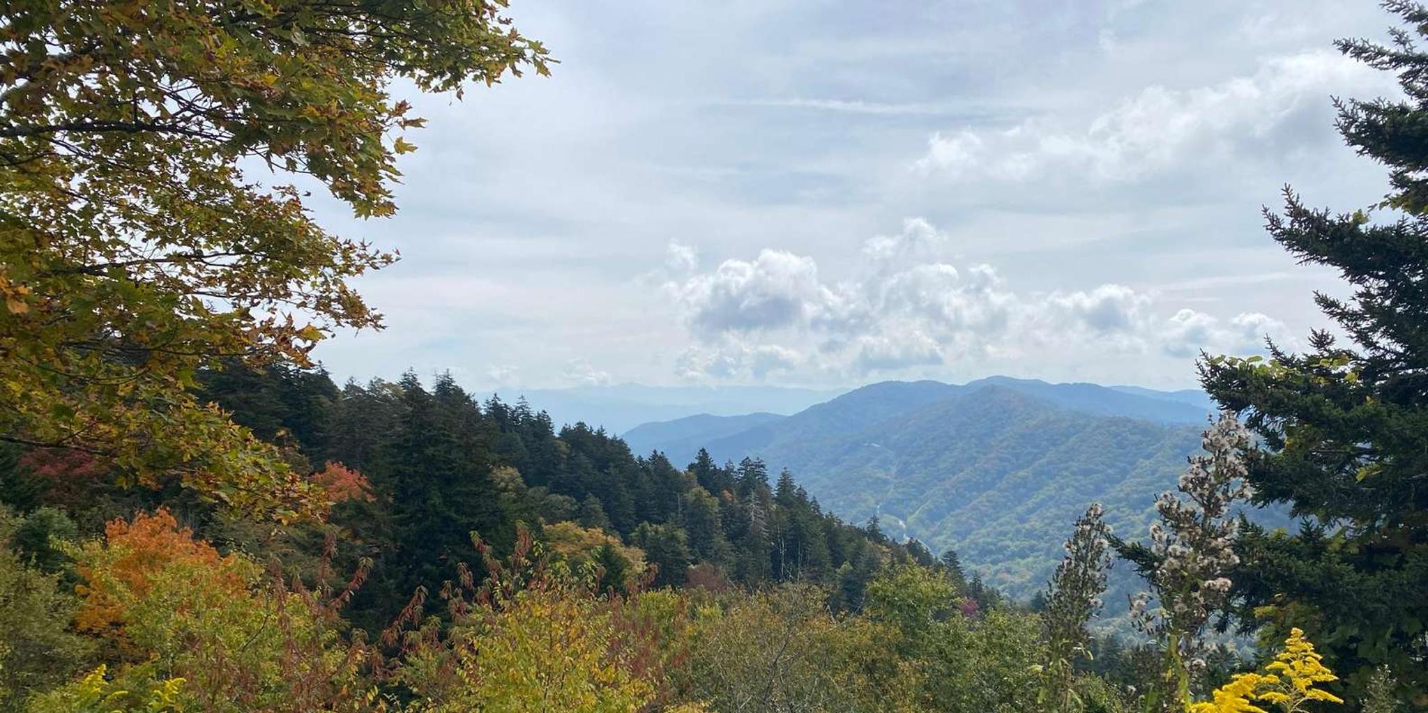 Gatlinburg Great Smoky Mountains National Park Tour - Image 5