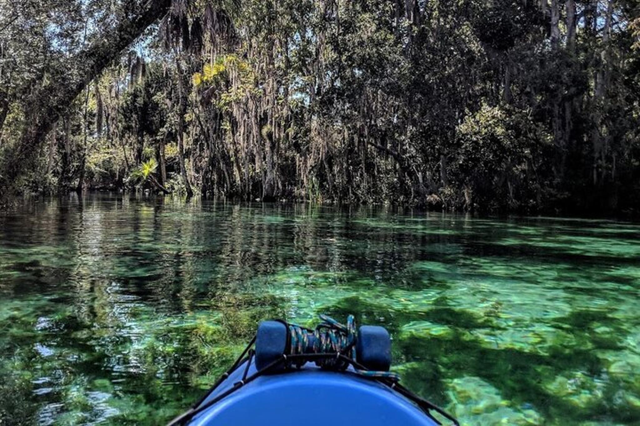 Crystal River Kayak Rental with Manatee Viewing 4 hr - Image 2