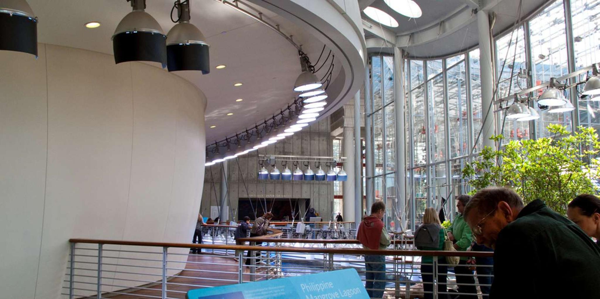 San Francisco Hop-On Hop-Off & Academy of Sciences Tour - Image 6