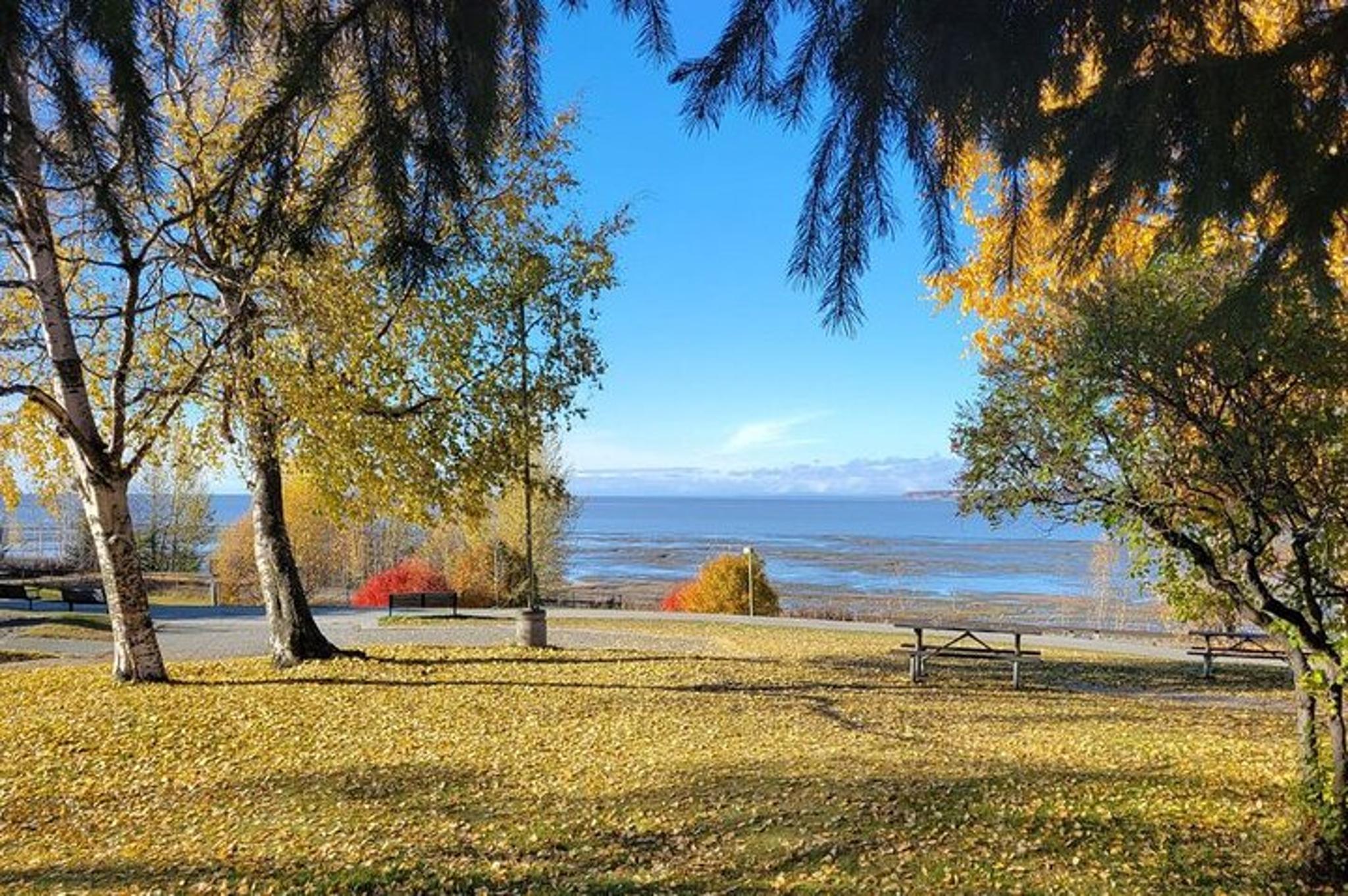 Anchorage Scavenger Hunt on Tony Knowles Trail - Image 2