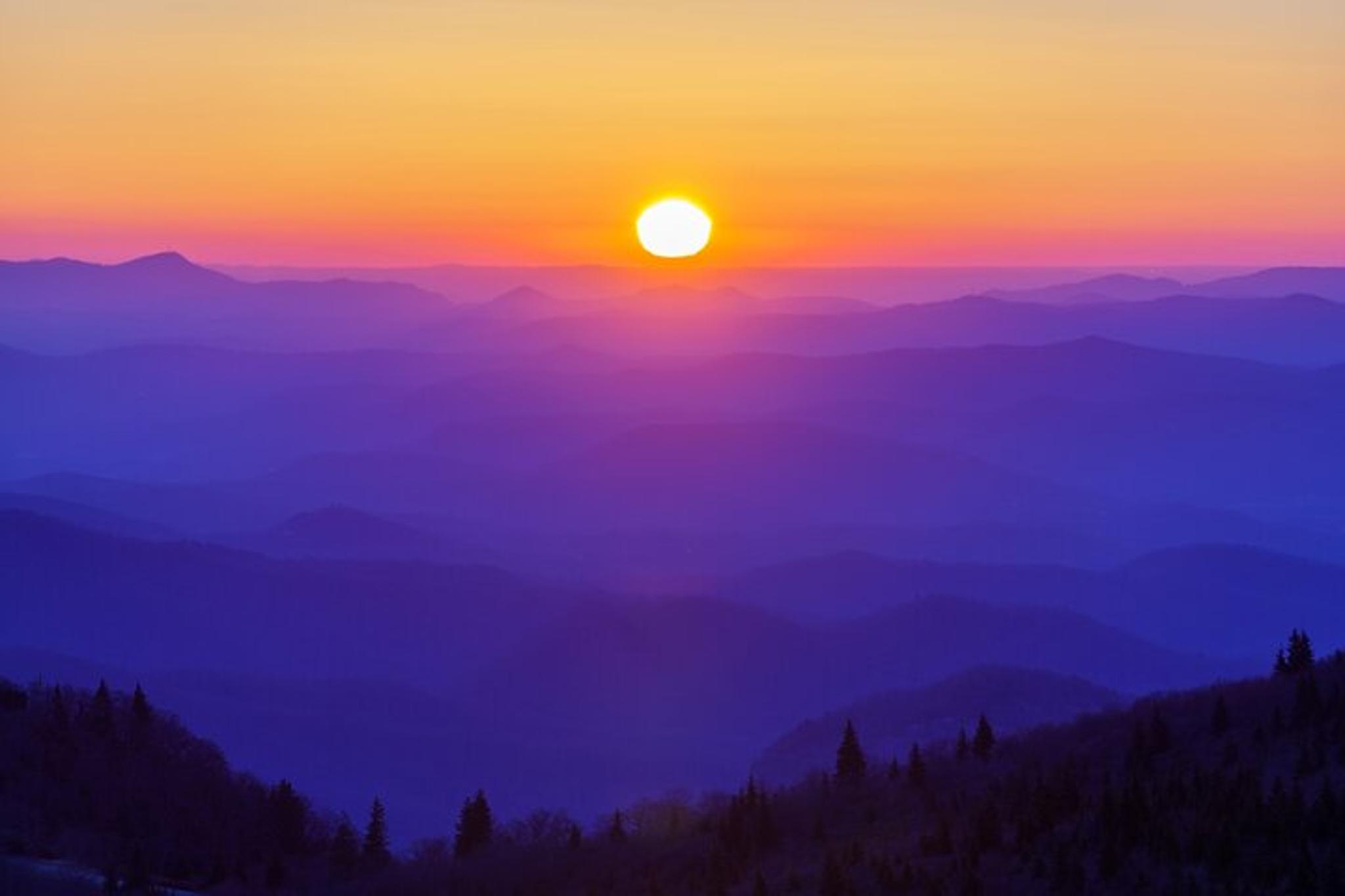 Asheville Hike with Long Range Views - Image 5
