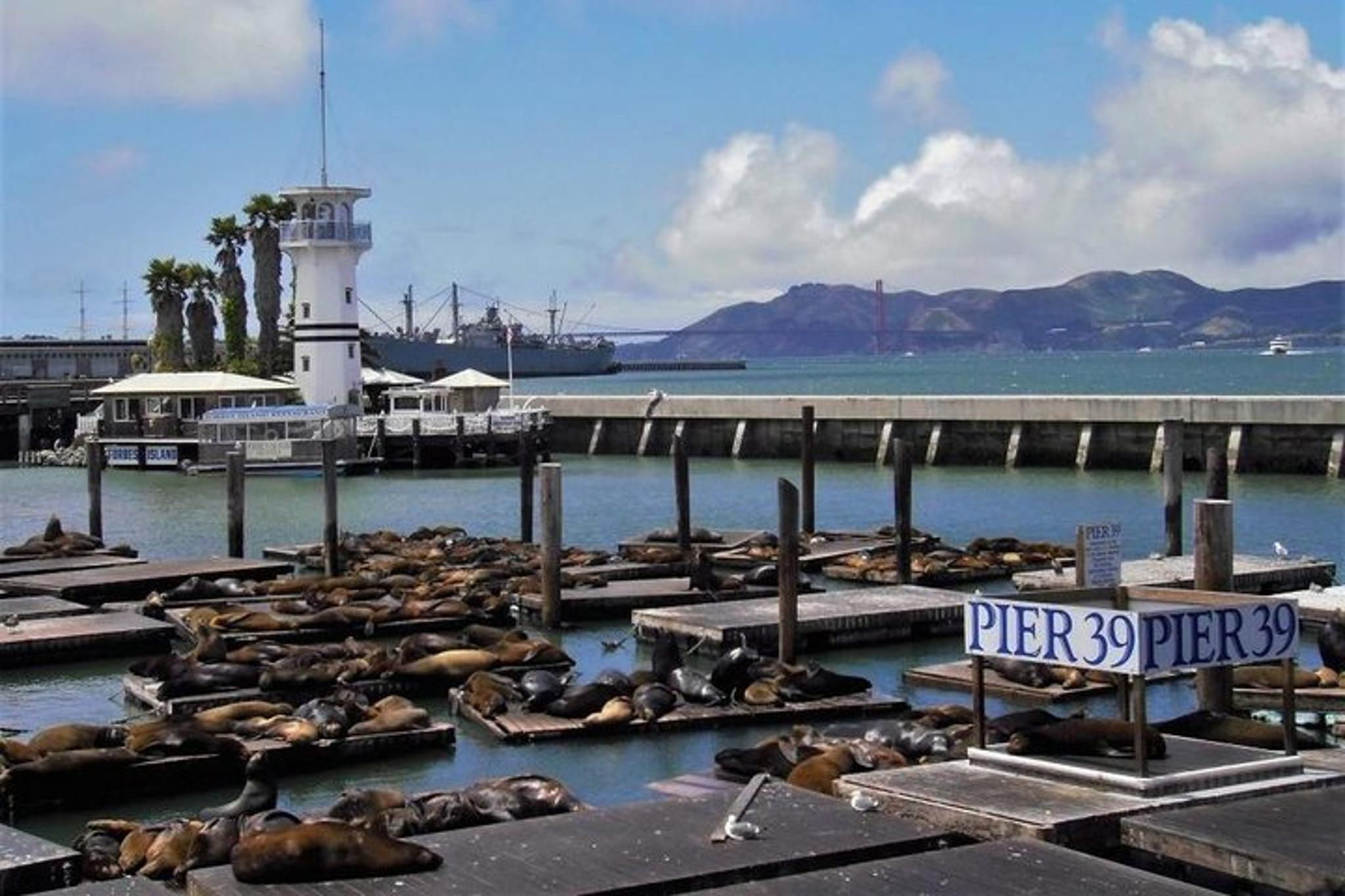 San Francisco North Beach Walking Tour - Image 2