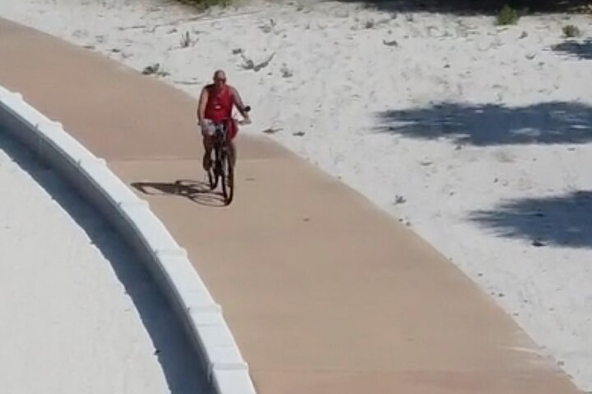 Treasure Island Bicycle Rental - Image 4
