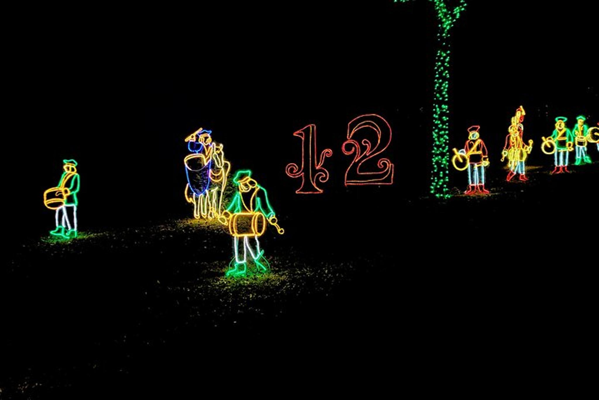 Branson Christmas Light Tour - Image 4