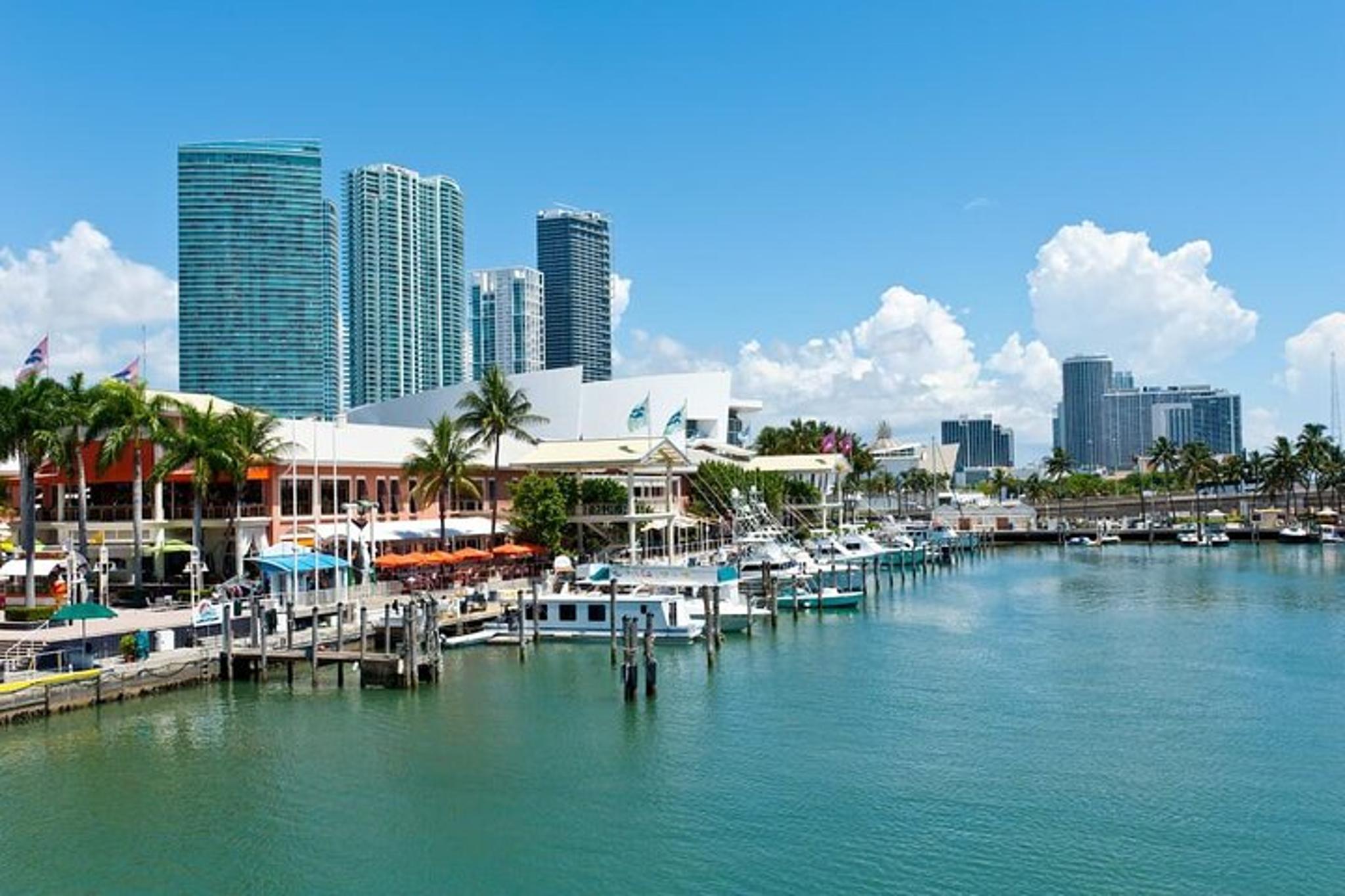 Miami City Tour by Car and on Foot 4 hr - Image 5