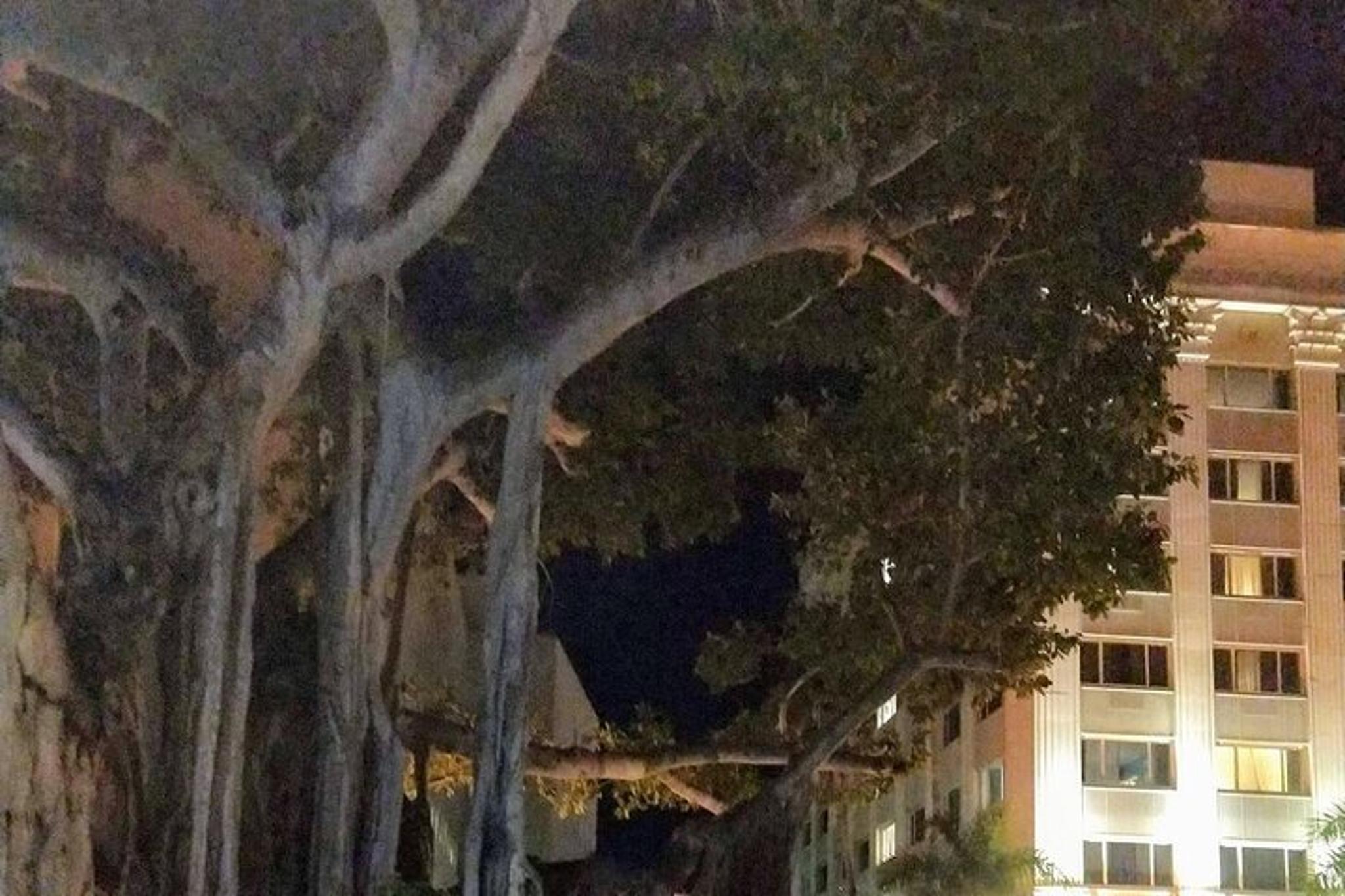 Fort Myers Haunted History Walking Tour - Image 6