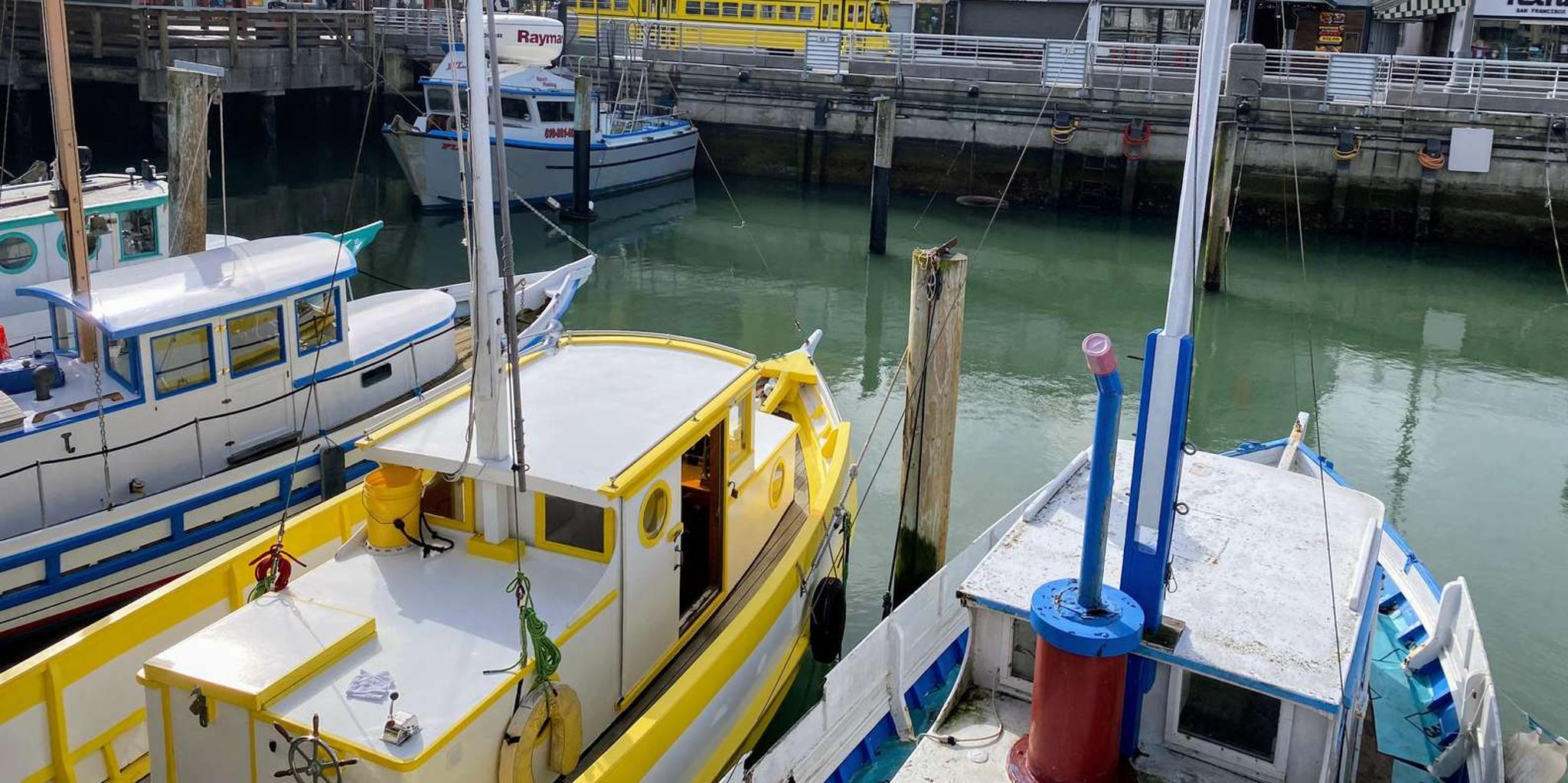San Francisco Fisherman's Wharf Guided Walk & Golden Gate Bay Cruise