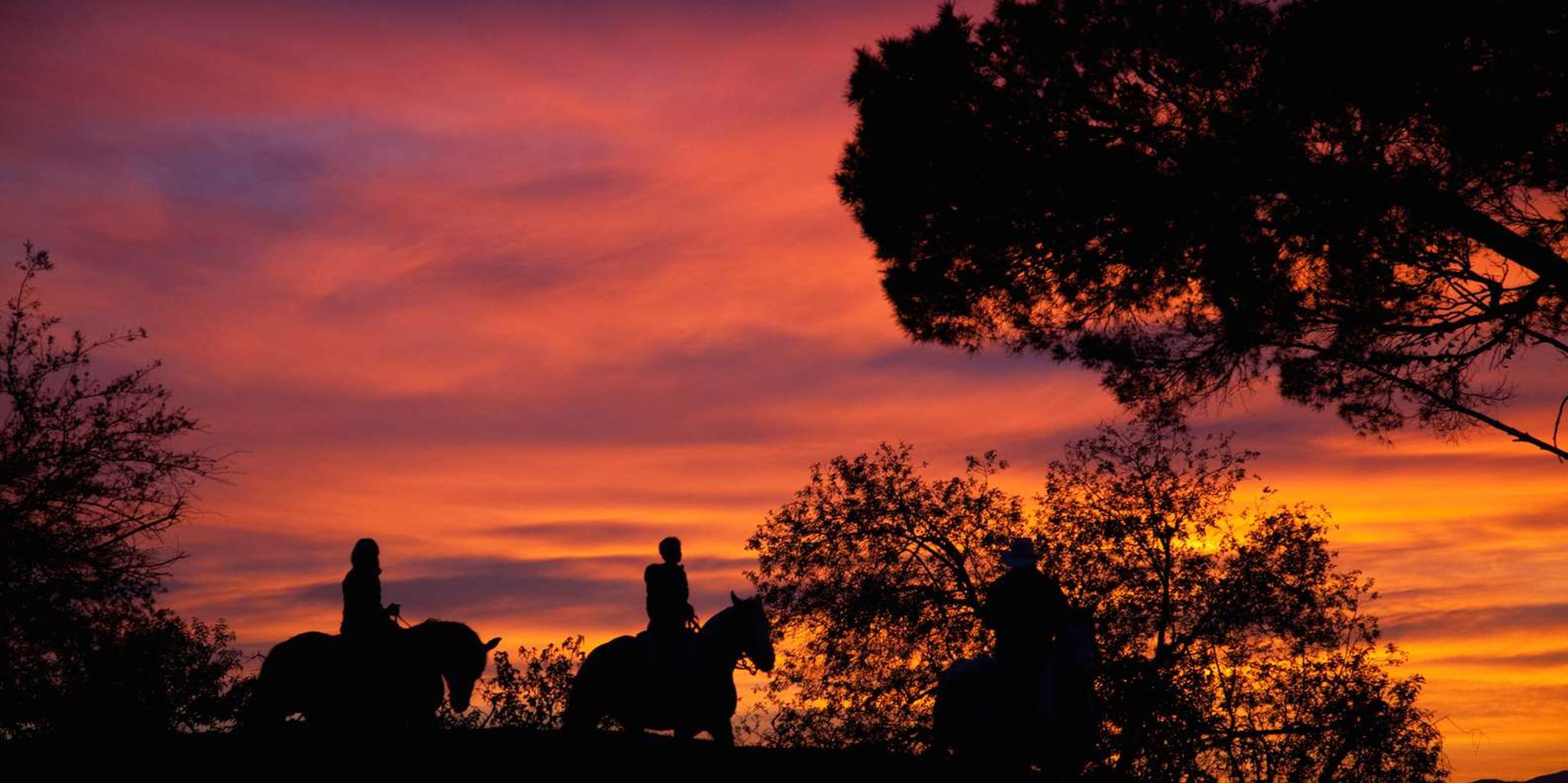 Los Angeles Horseback Riding Tour in Griffith Park - Image 3