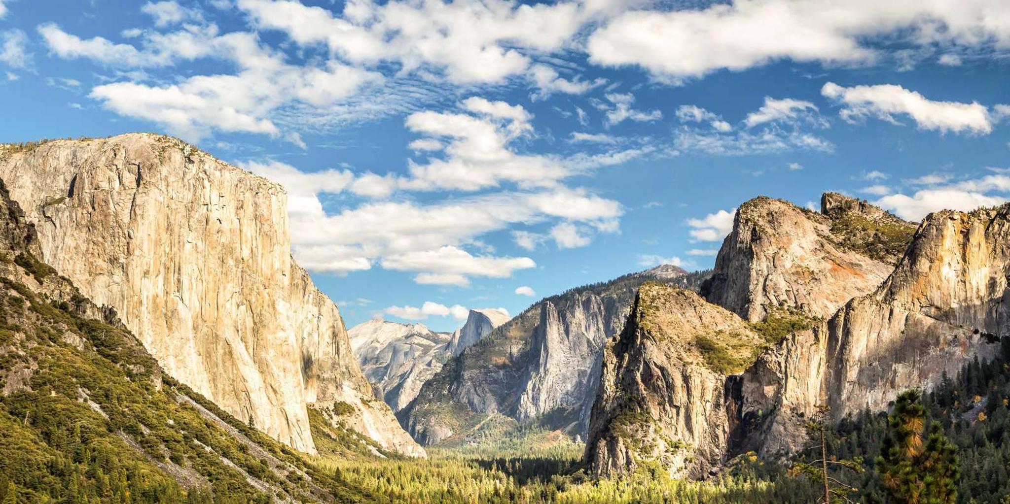 Yosemite National Park Day Trip from Lake Tahoe - Image 2