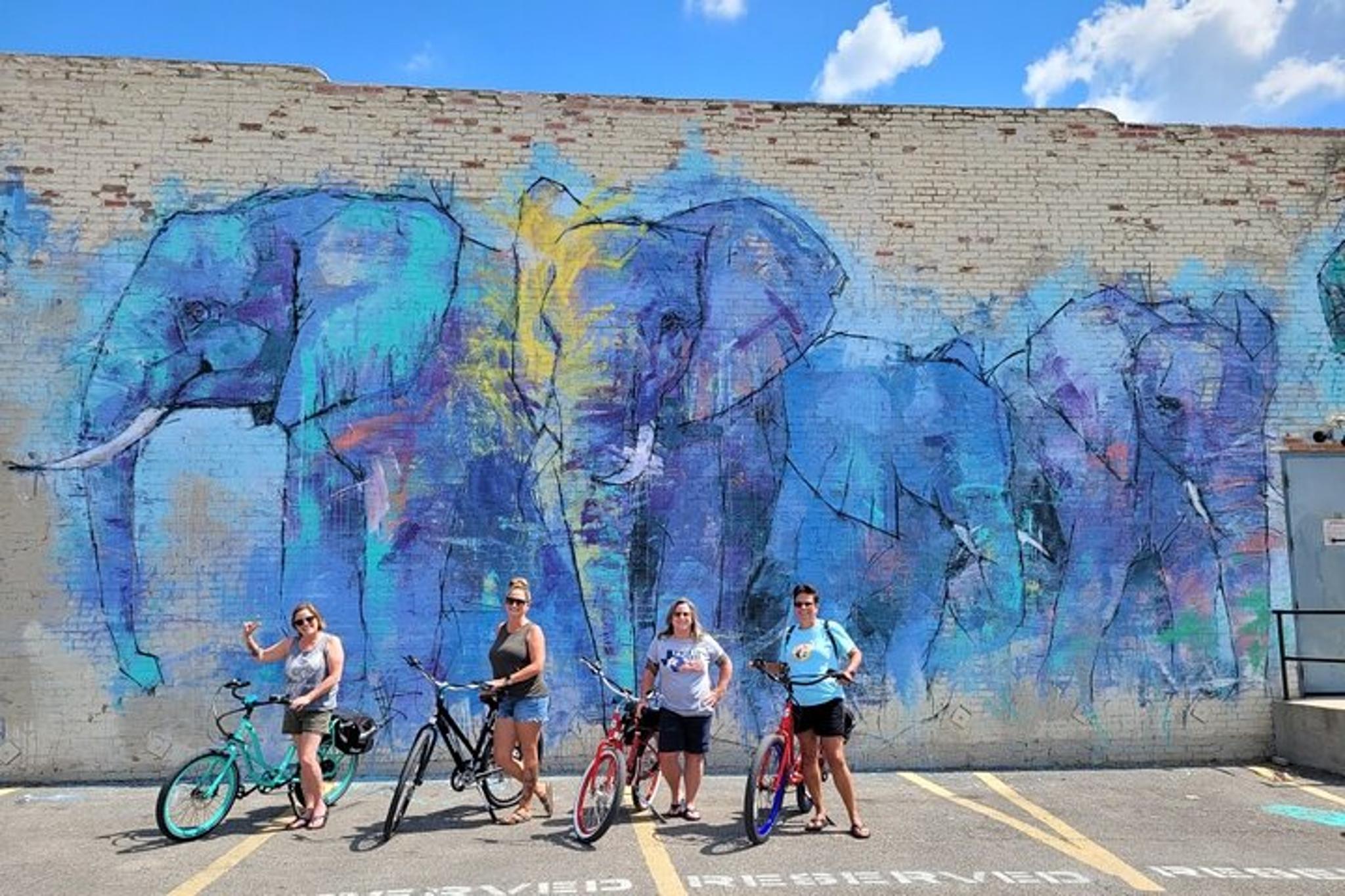 Dallas Electric Bike Rental - Image 1