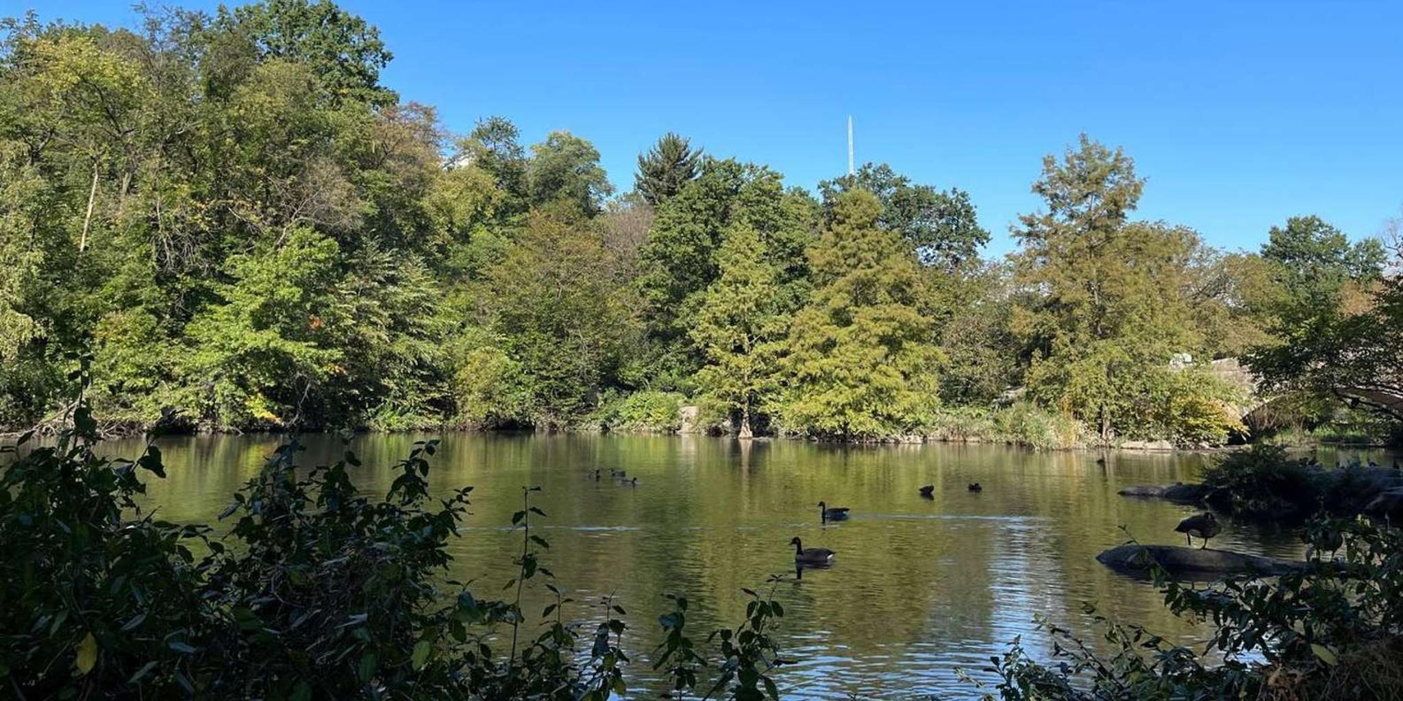 New York City Central Park Pedicab Tour - Image 3