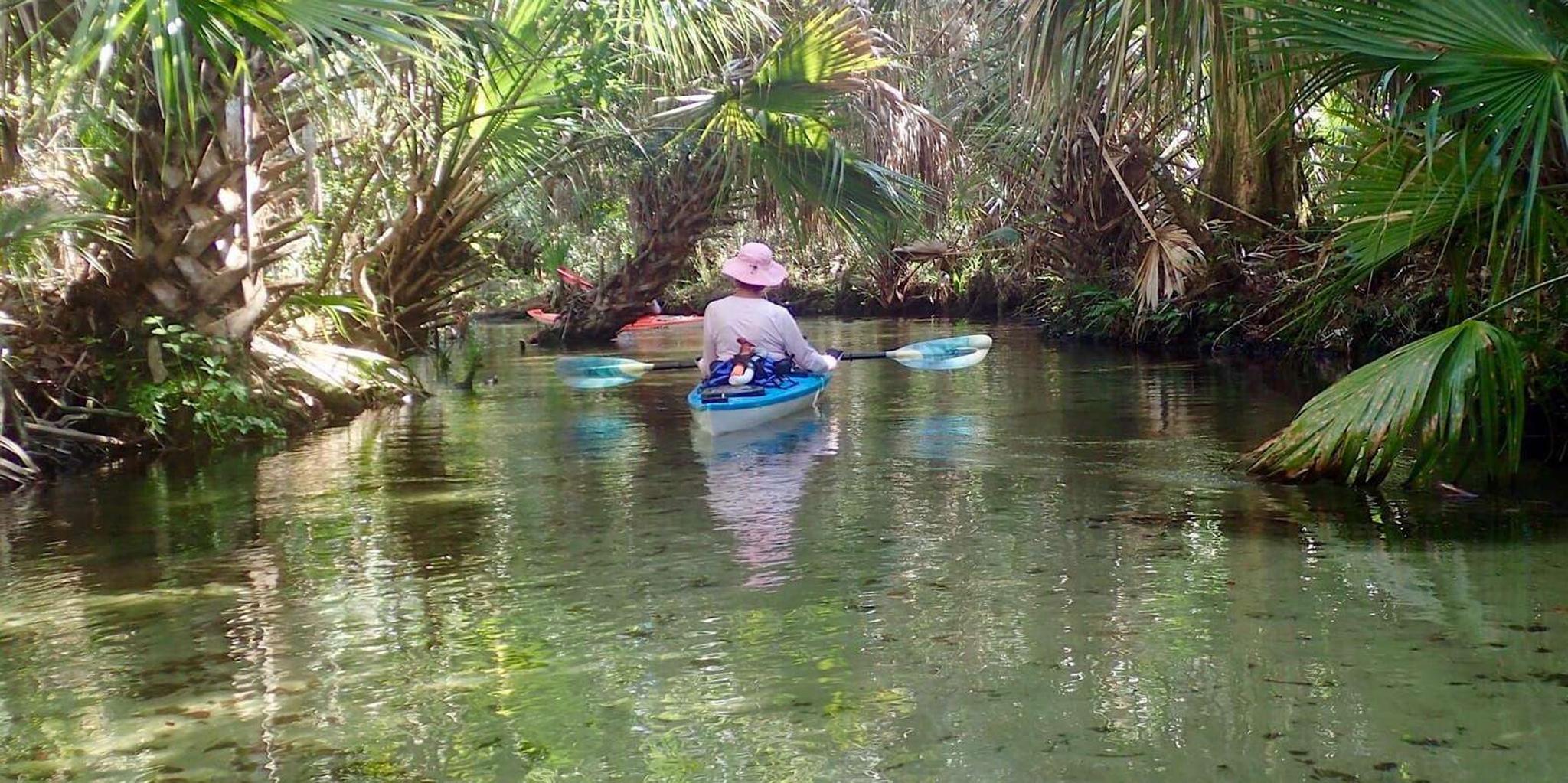 Crystal River Clear Bottom Kayak Tour - Image 2