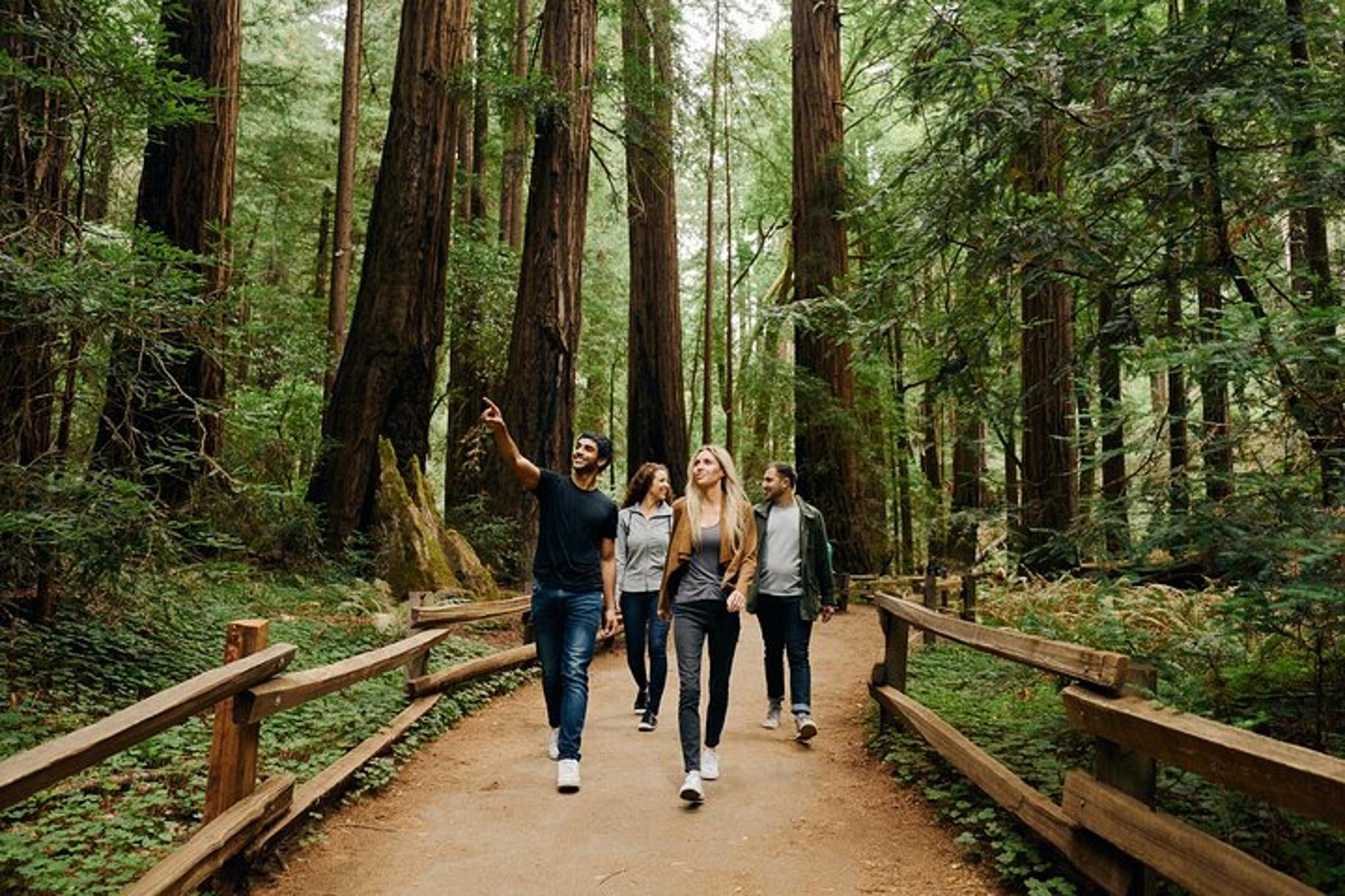 San Francisco City Tour with Muir Woods & Sausalito