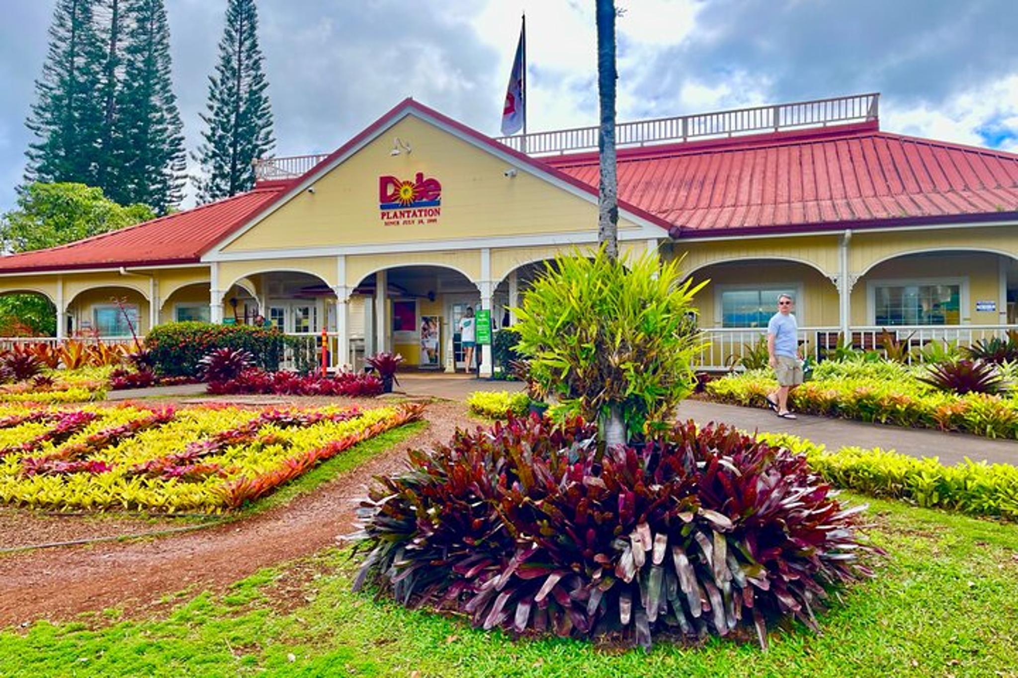 Oahu Shuttle to Dole Plantation and Haleiwa