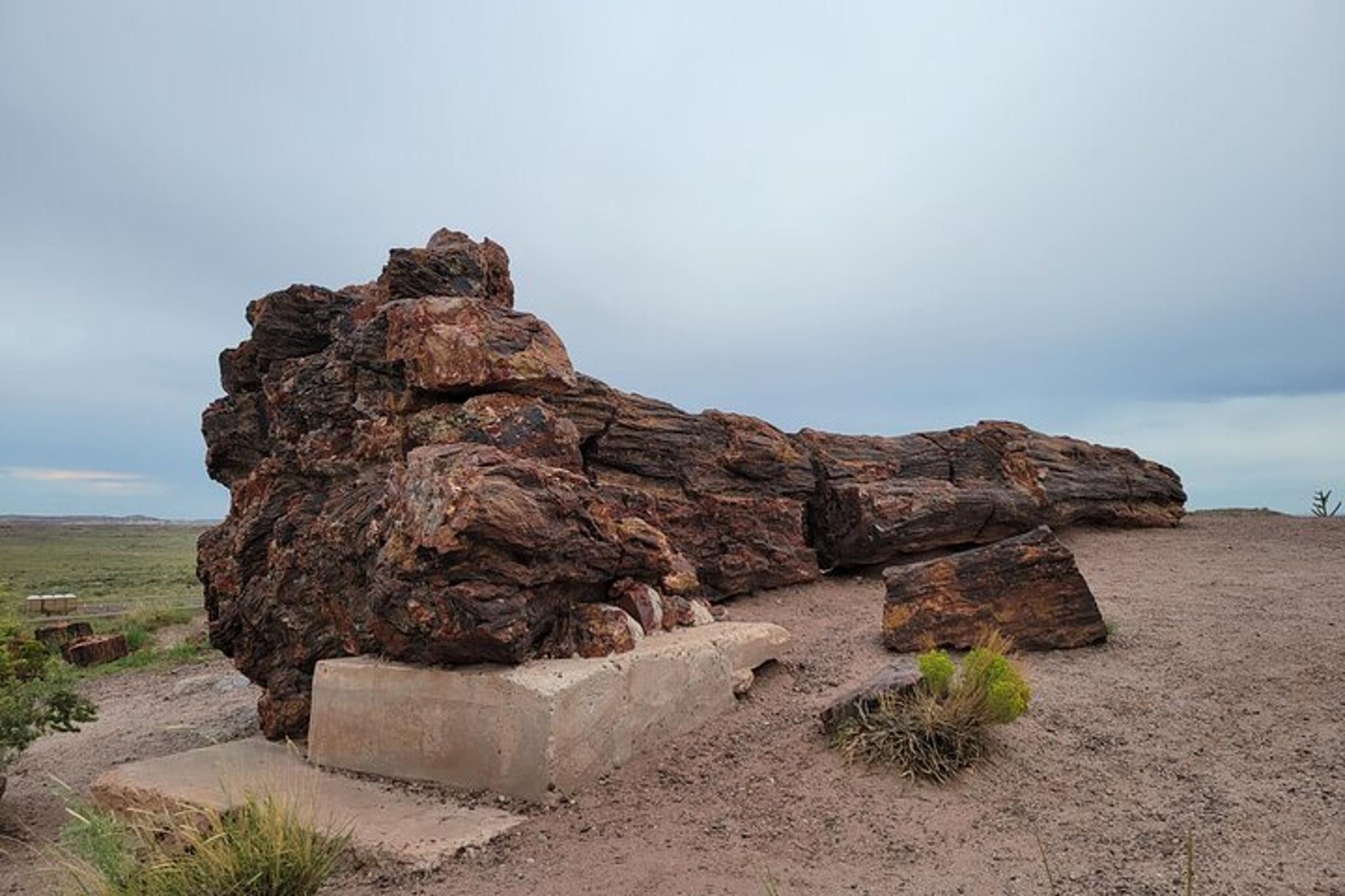 Sedona Petrified Forest and Painted Desert Tour - Image 1