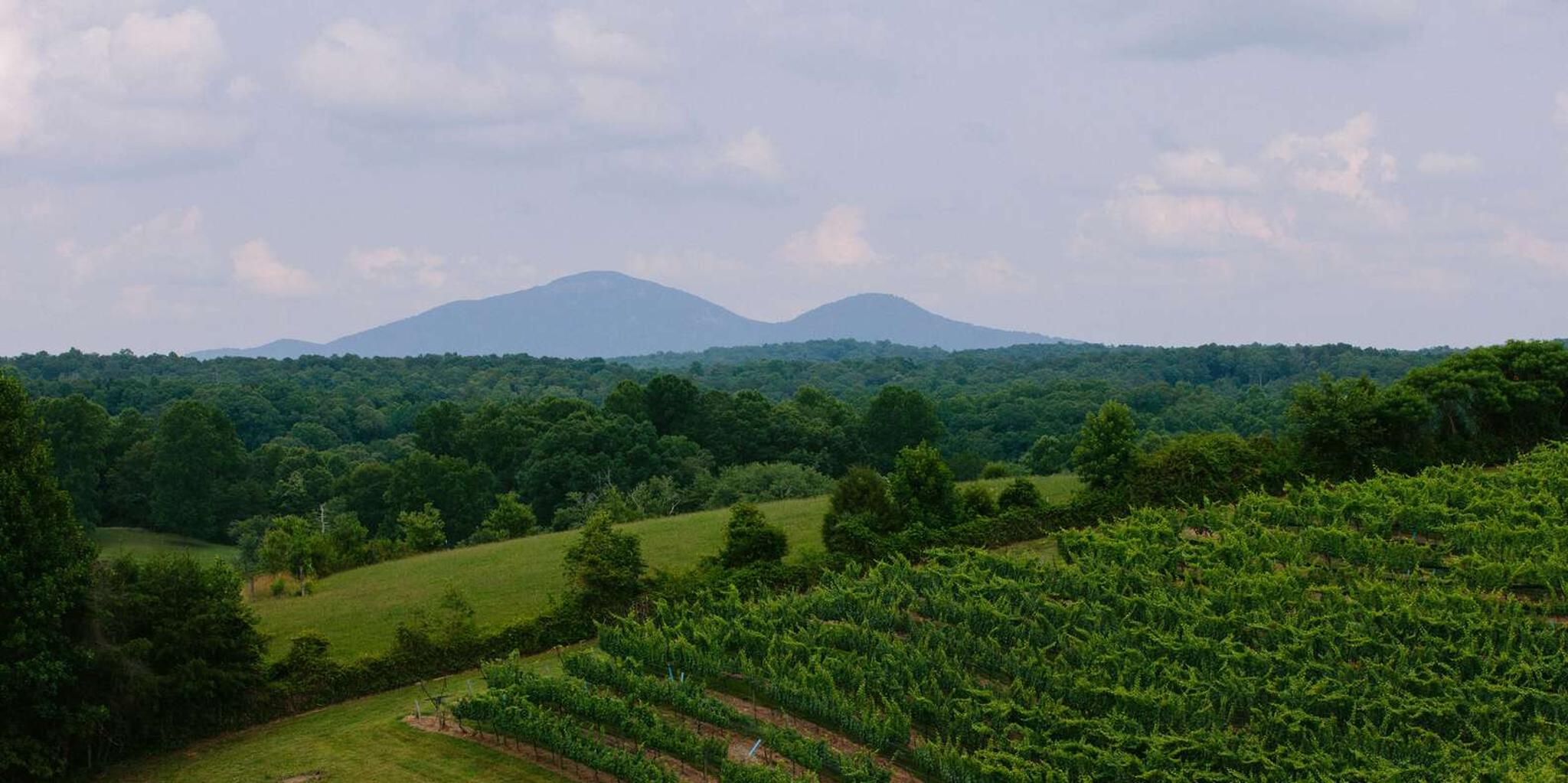 Atlanta Wine Country Tour - Image 4