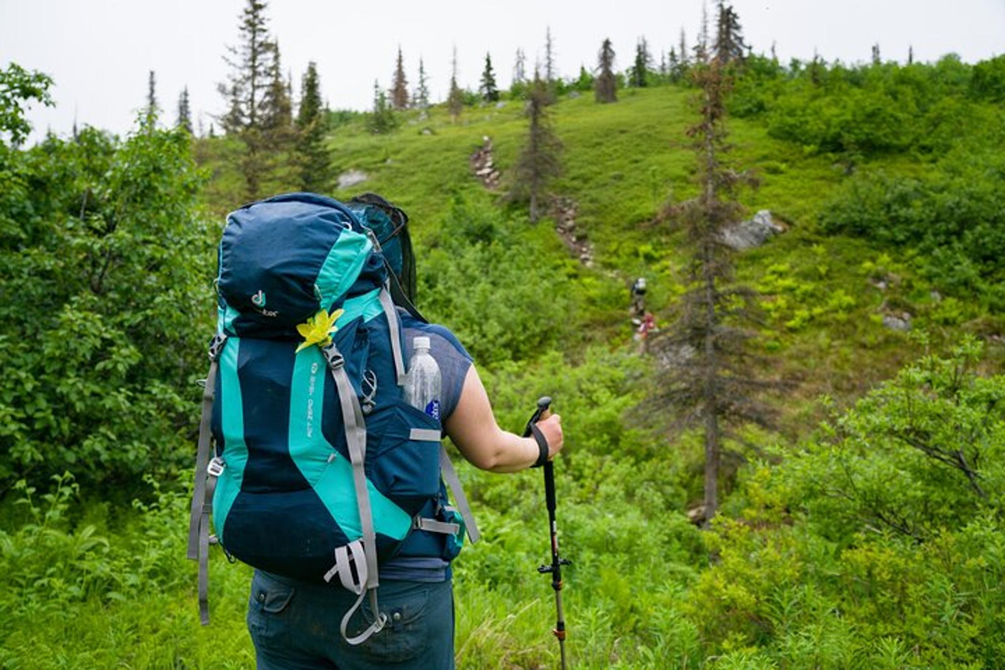 Anchorage K'esugi Ridge Backpacking Tour 4 Days - Image 6