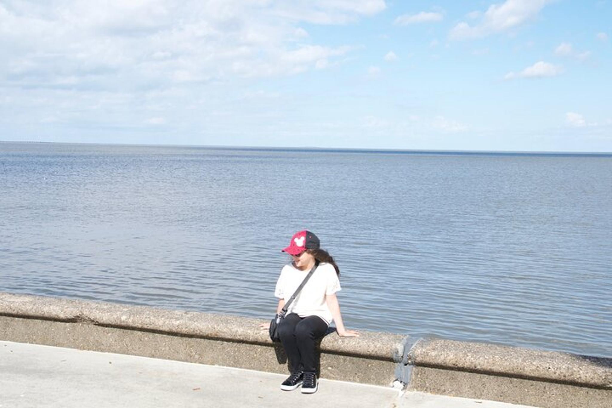 New Orleans Private City Tour - Image 6