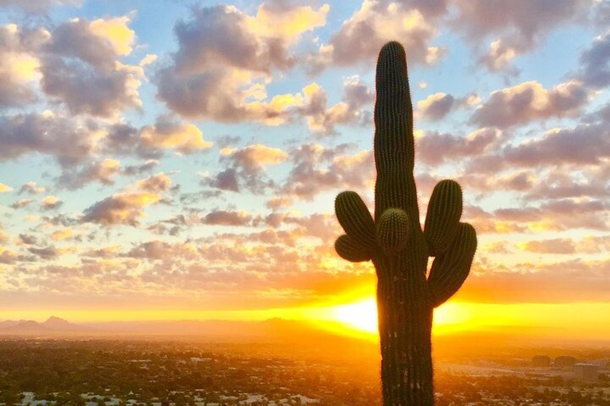 Phoenix Sunrise Guided Hike - Image 5