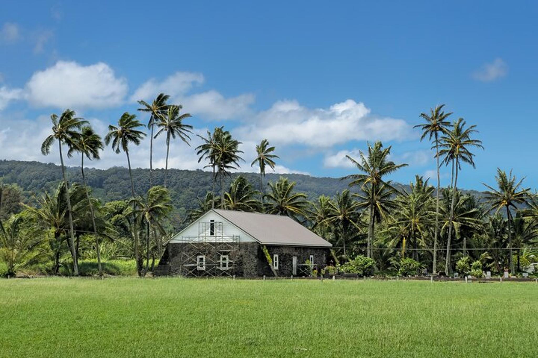 Maui Road to Hana Private Tour with Pickup - Image 6