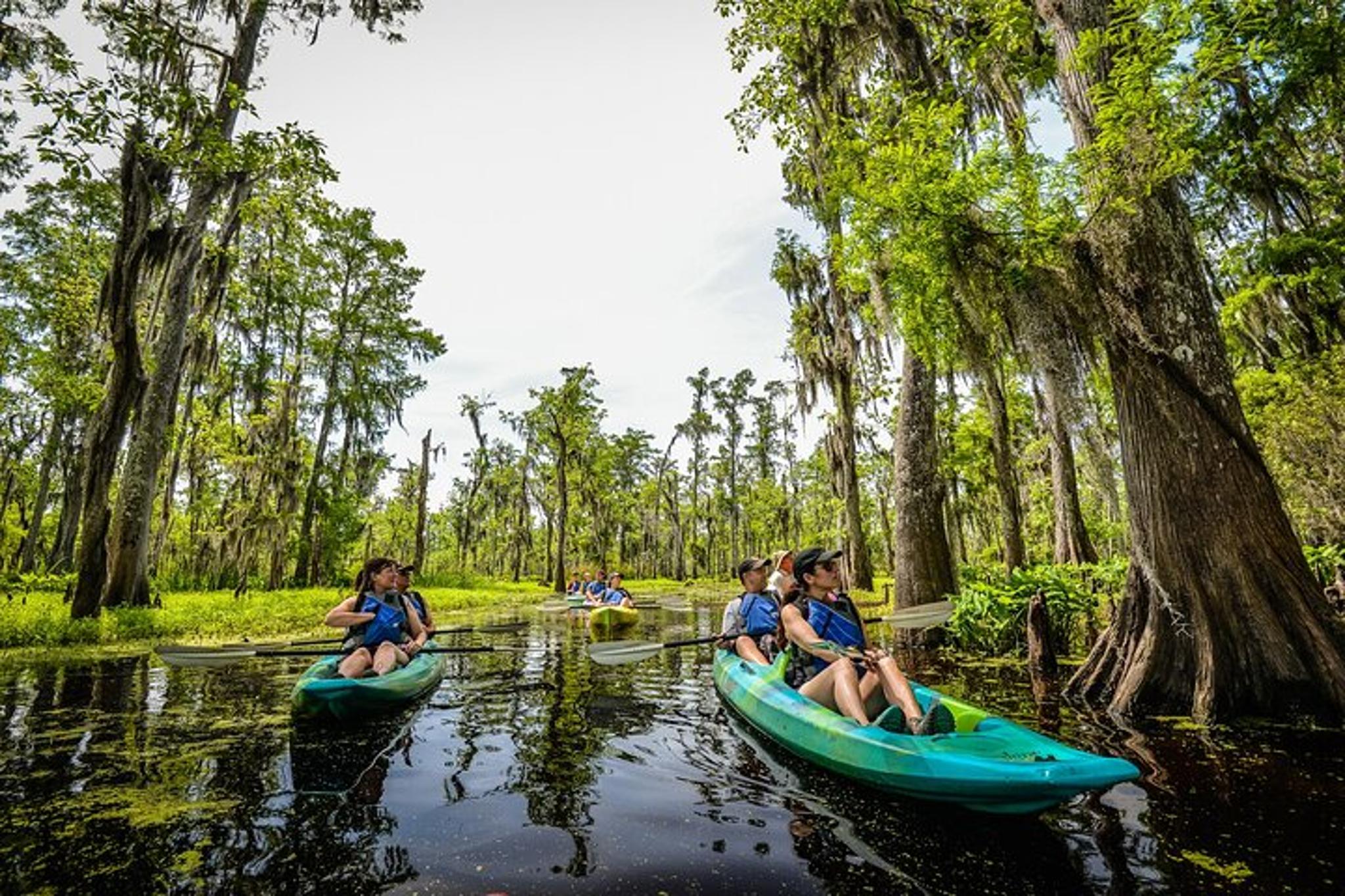New Orleans Plantation and Kayak Swamp Tour - Image 5