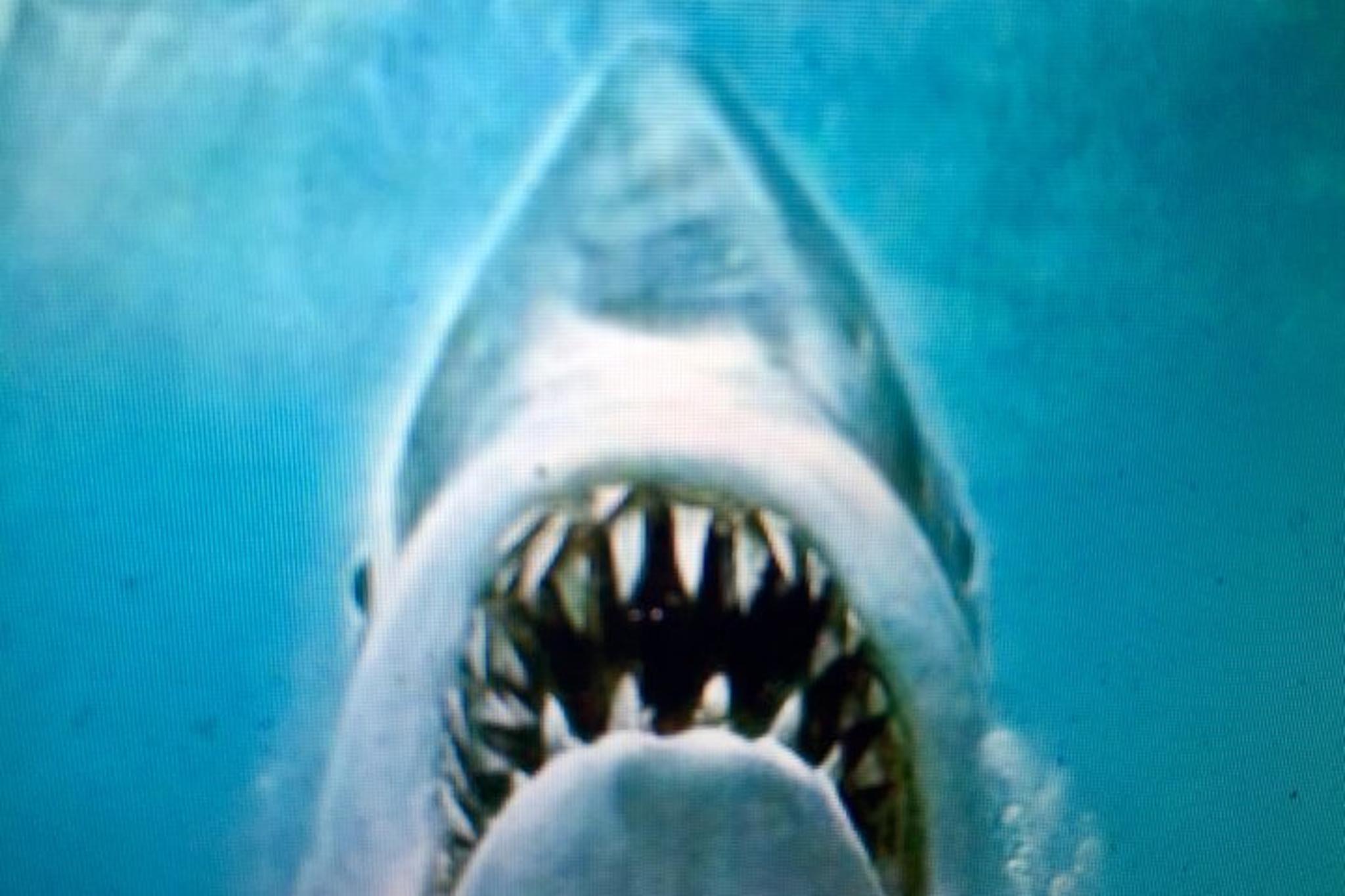 Martha's Vineyard Full-Island Tour - Image 3