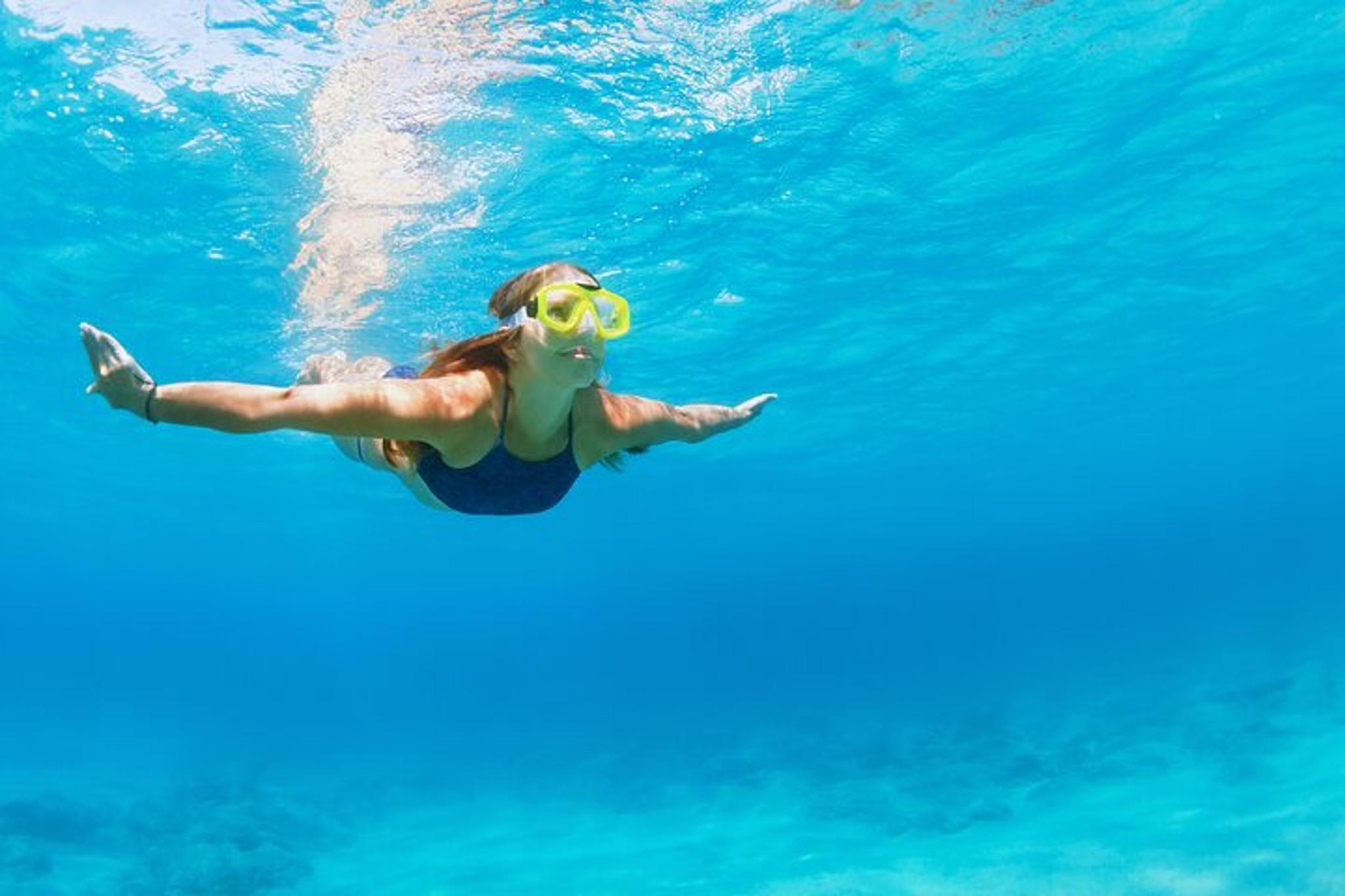 Destin Snorkeling and Dolphin Watching Experience