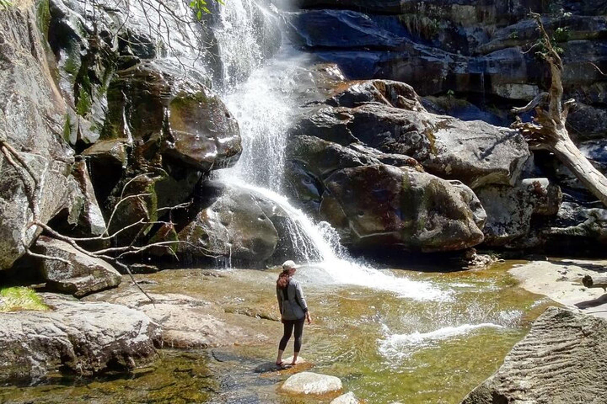 Gatlinburg Old Growth Forest Hike - Image 2