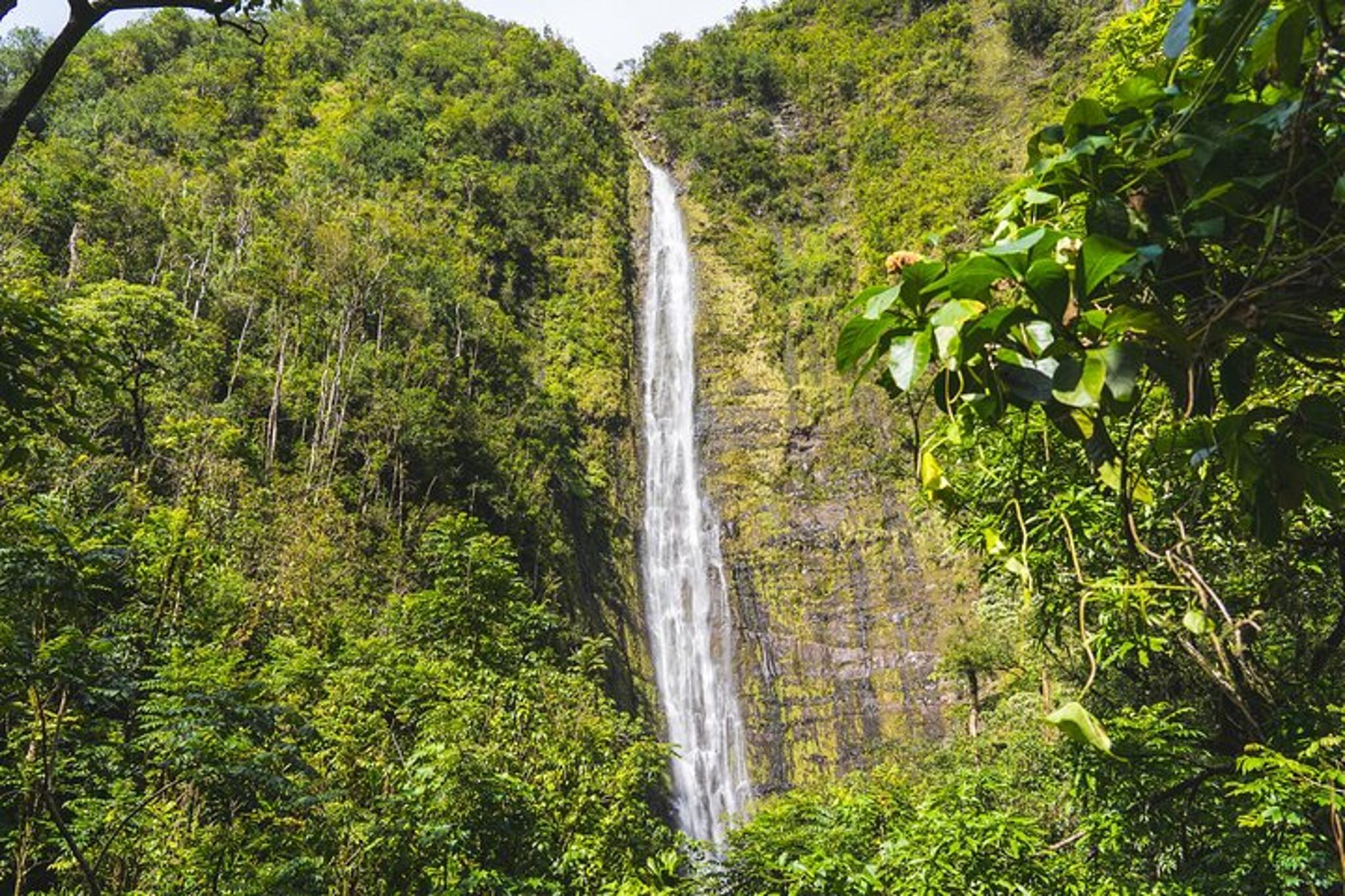 Maui Full-Day Hiking Tour on Hana Highway - Image 6