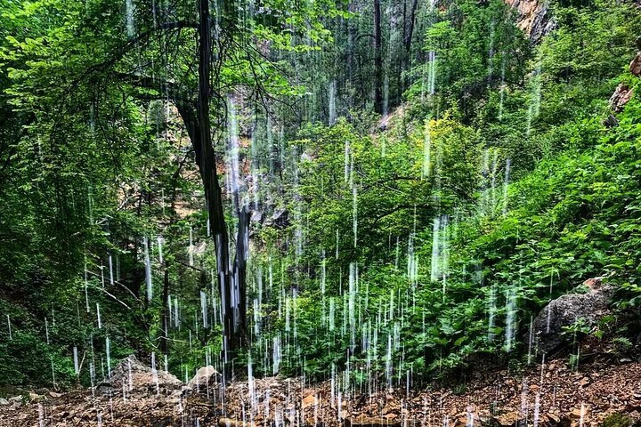Spearfish Canyon Hike - Image 4
