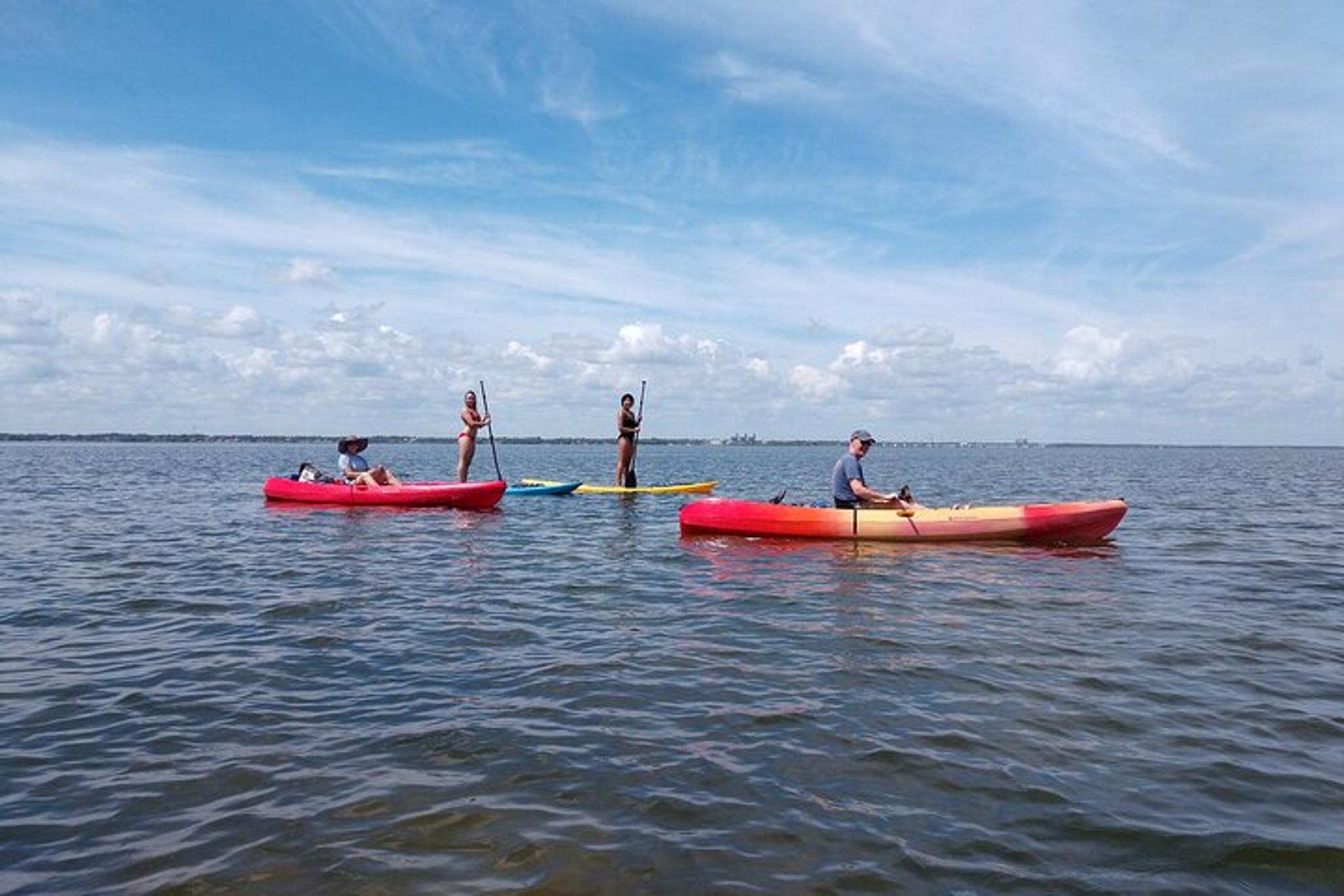 Indian River Kayak Rental with Manatee & Dolphin Sightings 2 hr - Image 3