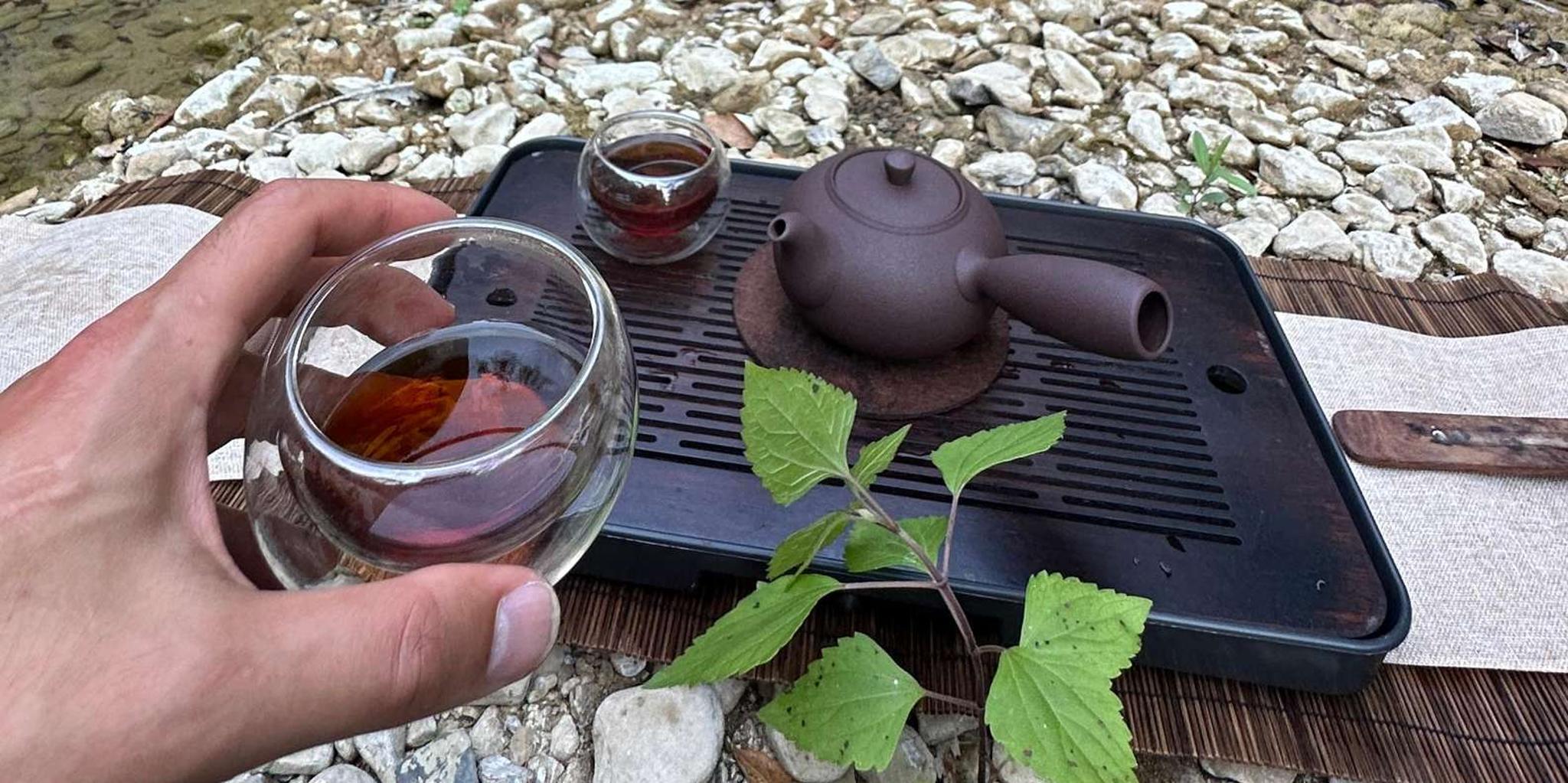 Santa Barbara Nature Trail Hike and Tea Ceremony - Image 4