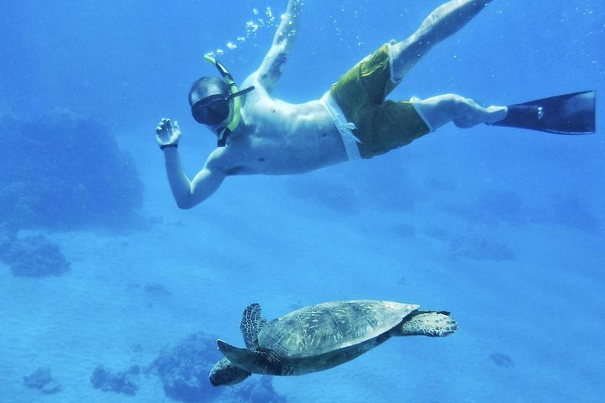 Ka'anapali Beach Snorkel Tour 2.5 Hr - Image 4