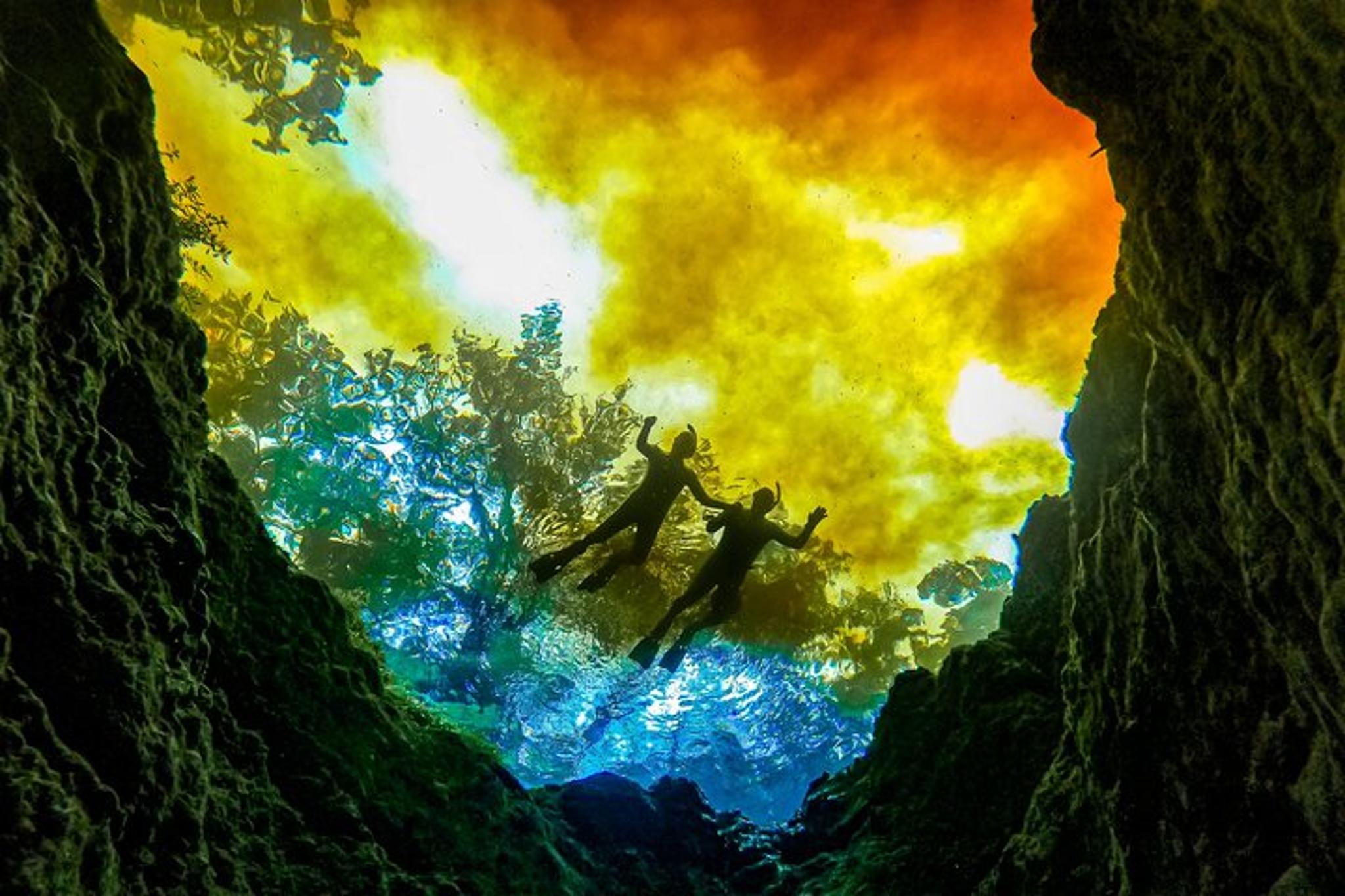 Florida Springs Snorkeling Expedition