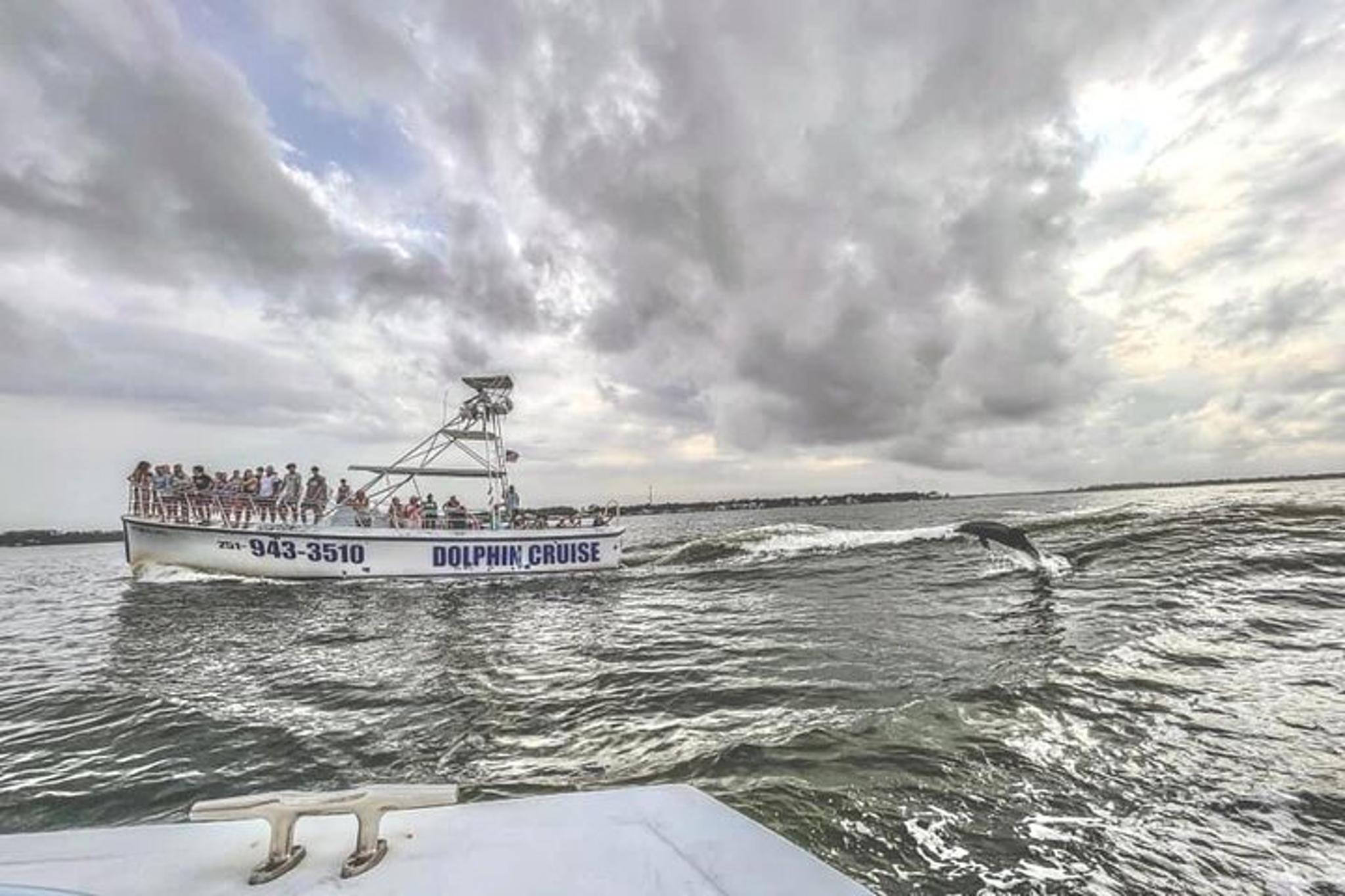 Orange Beach Dolphin Watching Cruise - Image 2