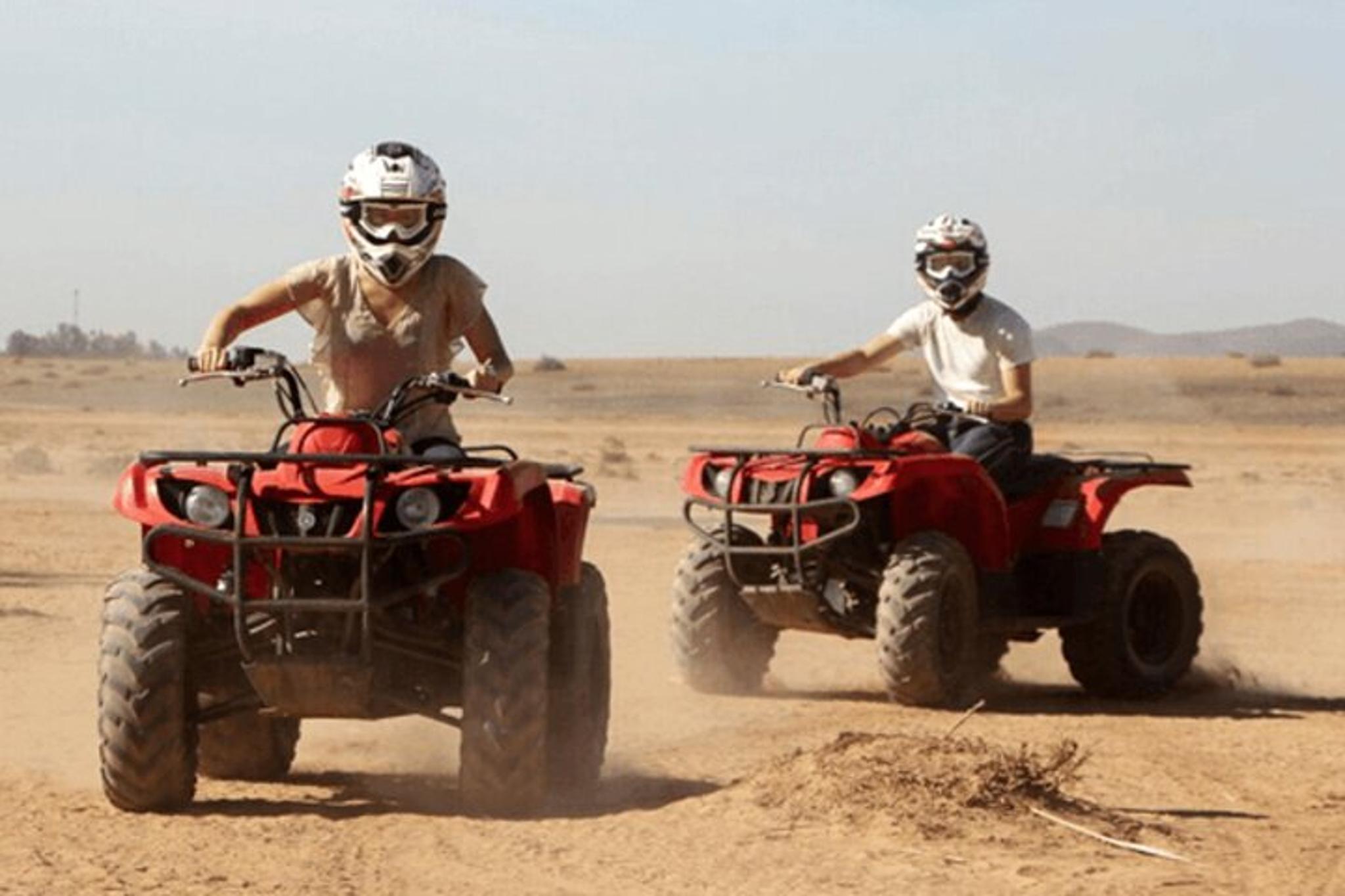Agadir Quad Bike and Crocoparc Tour - Image 6