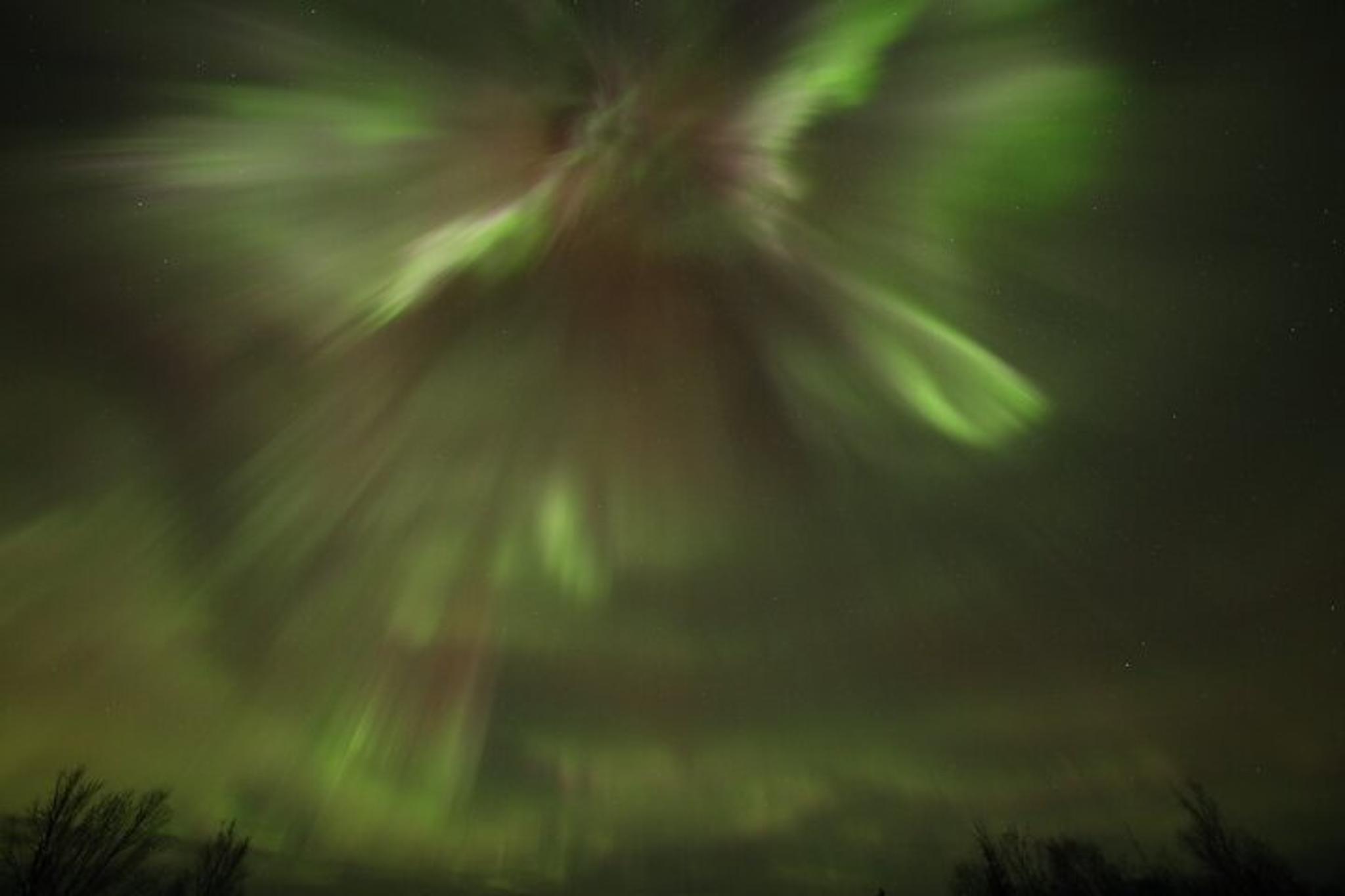 Alaska Arctic Circle and Aurora Viewing Tour - Image 6