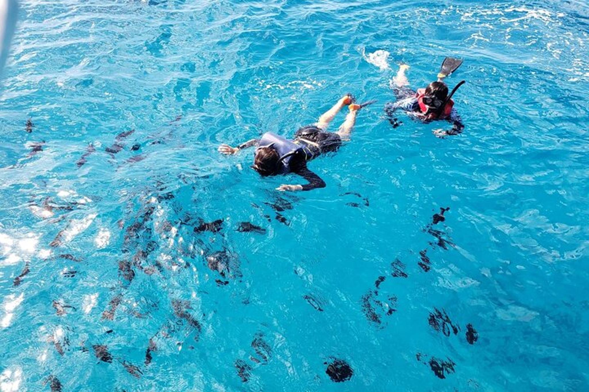 Waikiki Turtle Canyon Snorkeling Adventure - Image 2